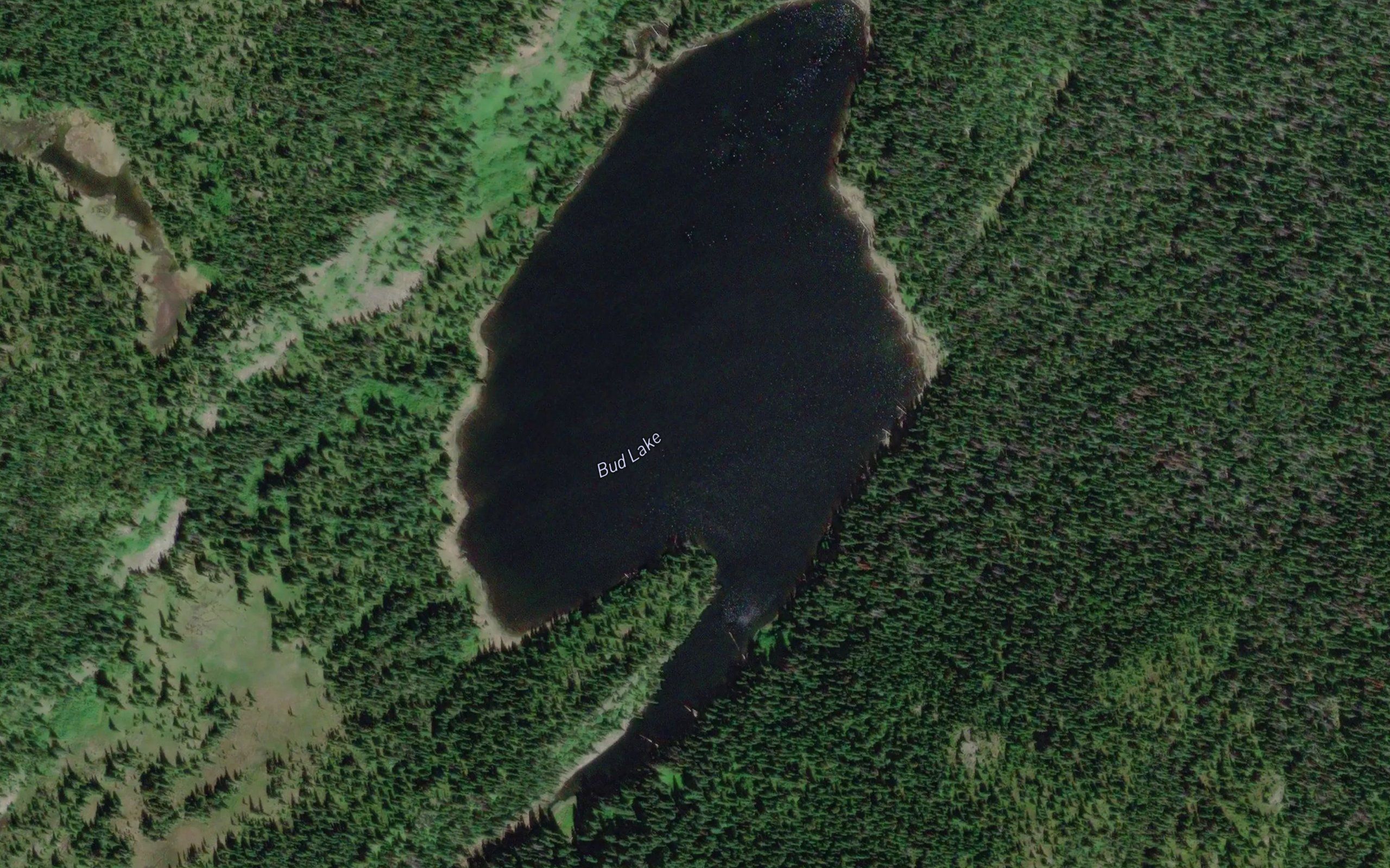 Bud Lake
