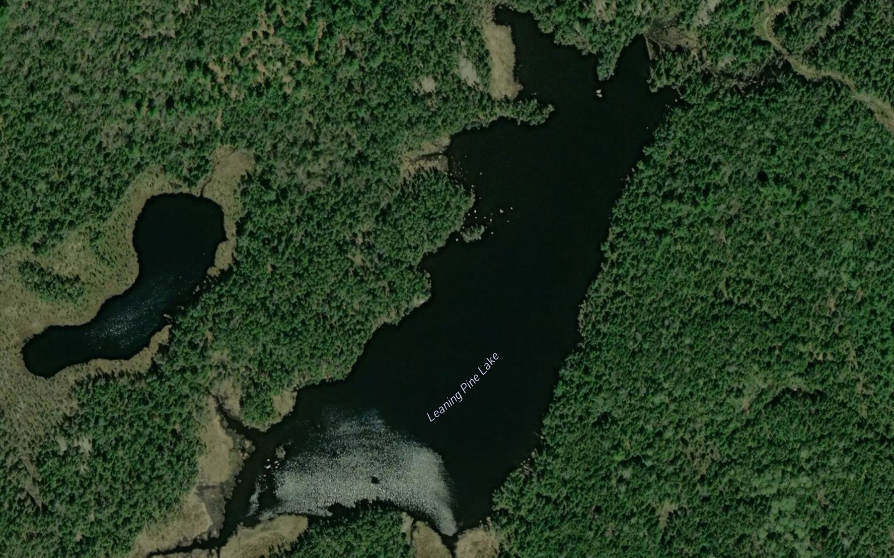 Satellite map of the Leaning Pine Lake