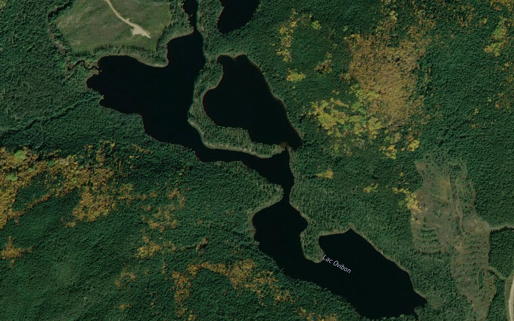 Satellite map of the Lac Ovibon