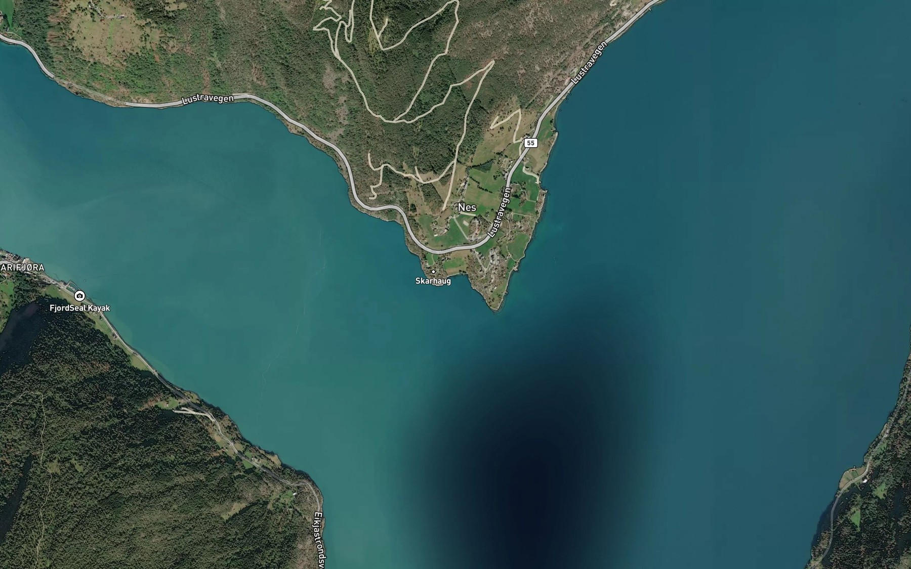 Satellite map of the Pylseviki