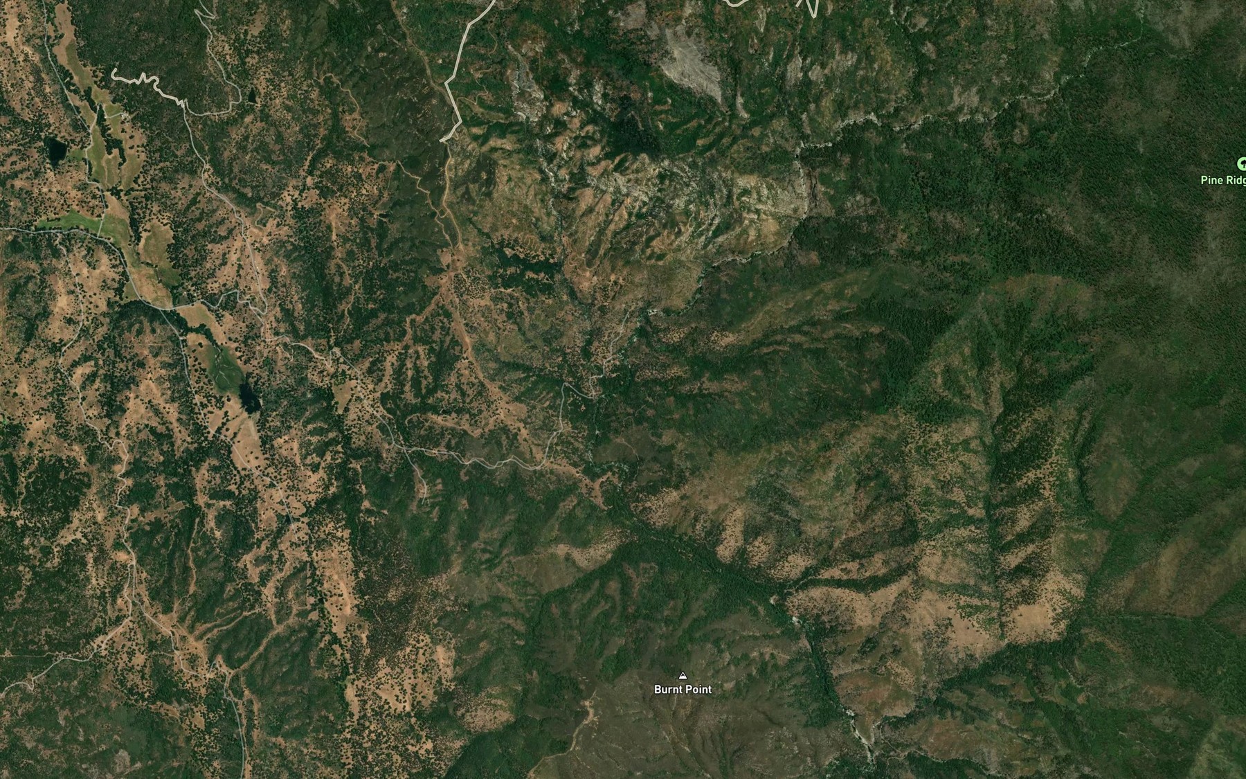 Satellite map of the Pierce Creek