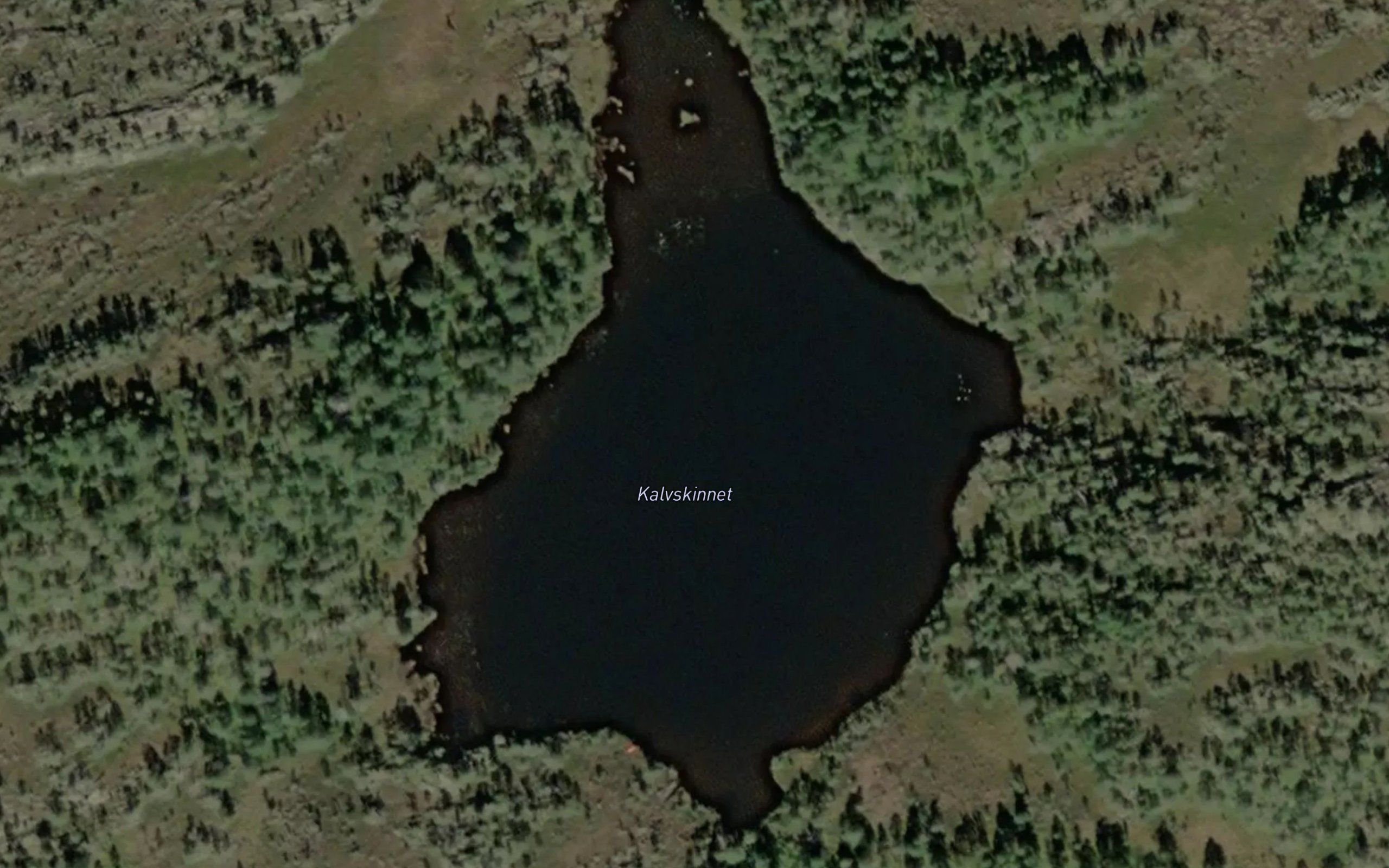 Kalvskinnet
