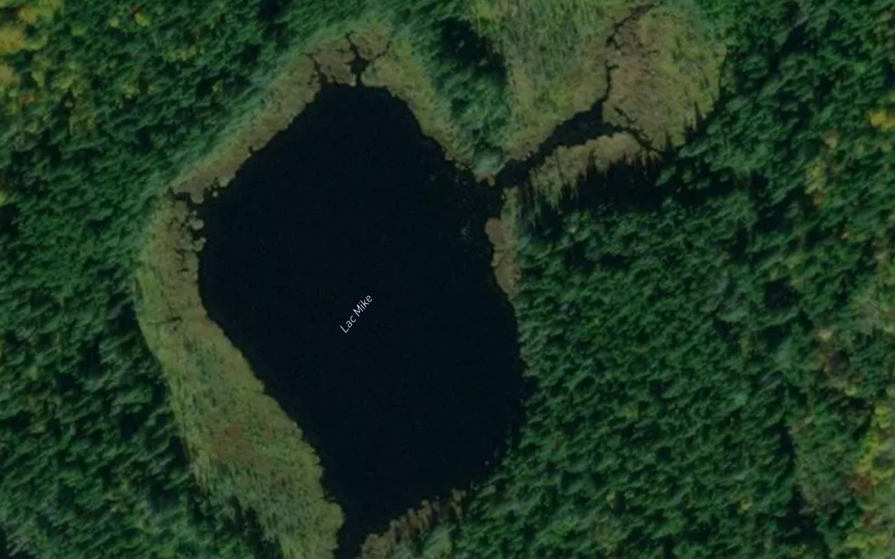 Satellite map of the Lac Mike
