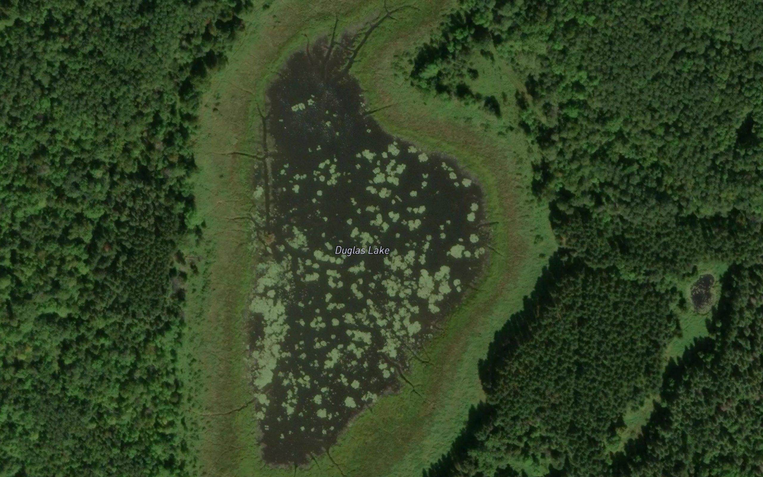 Duglas Lake