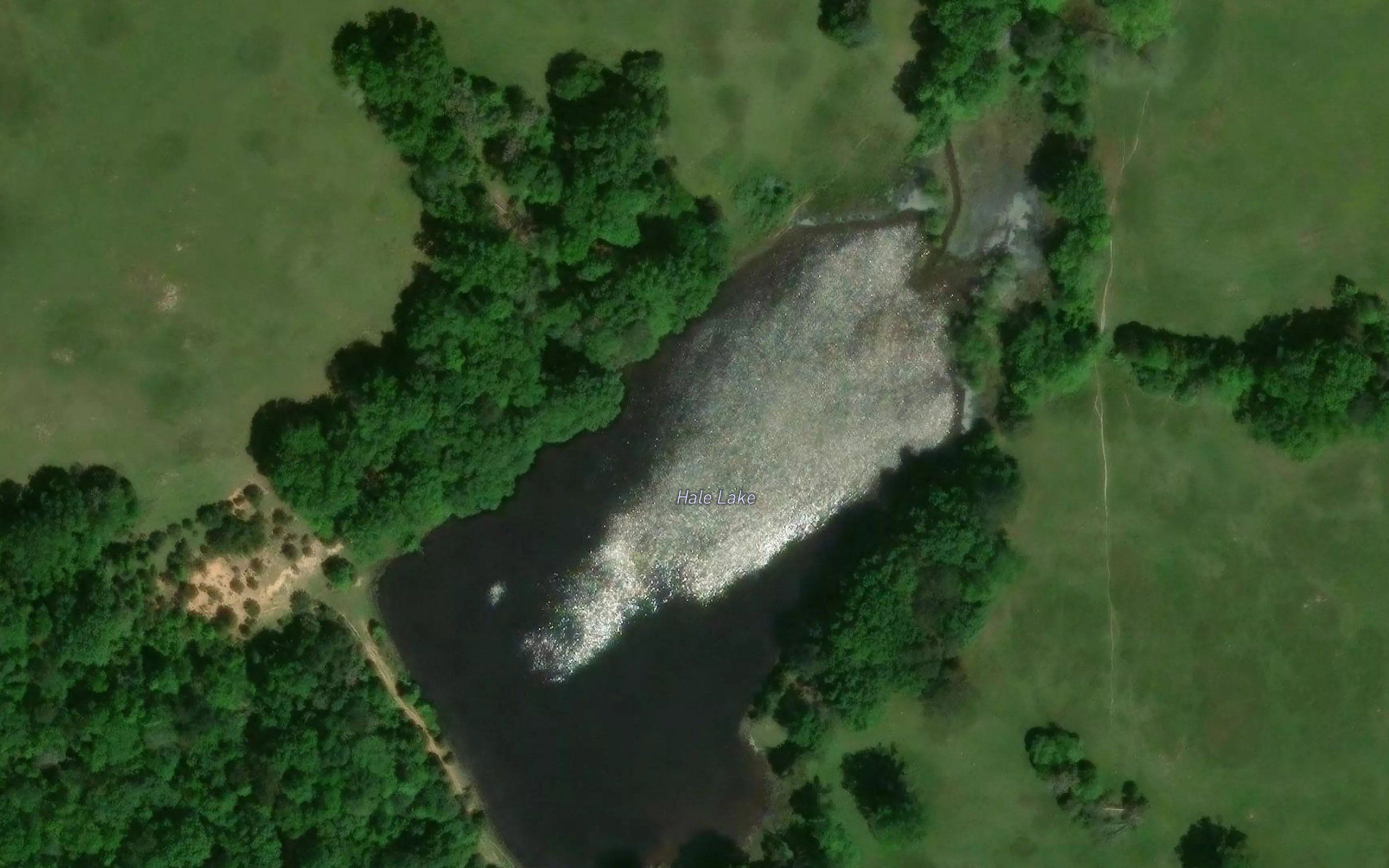 Hale Lake