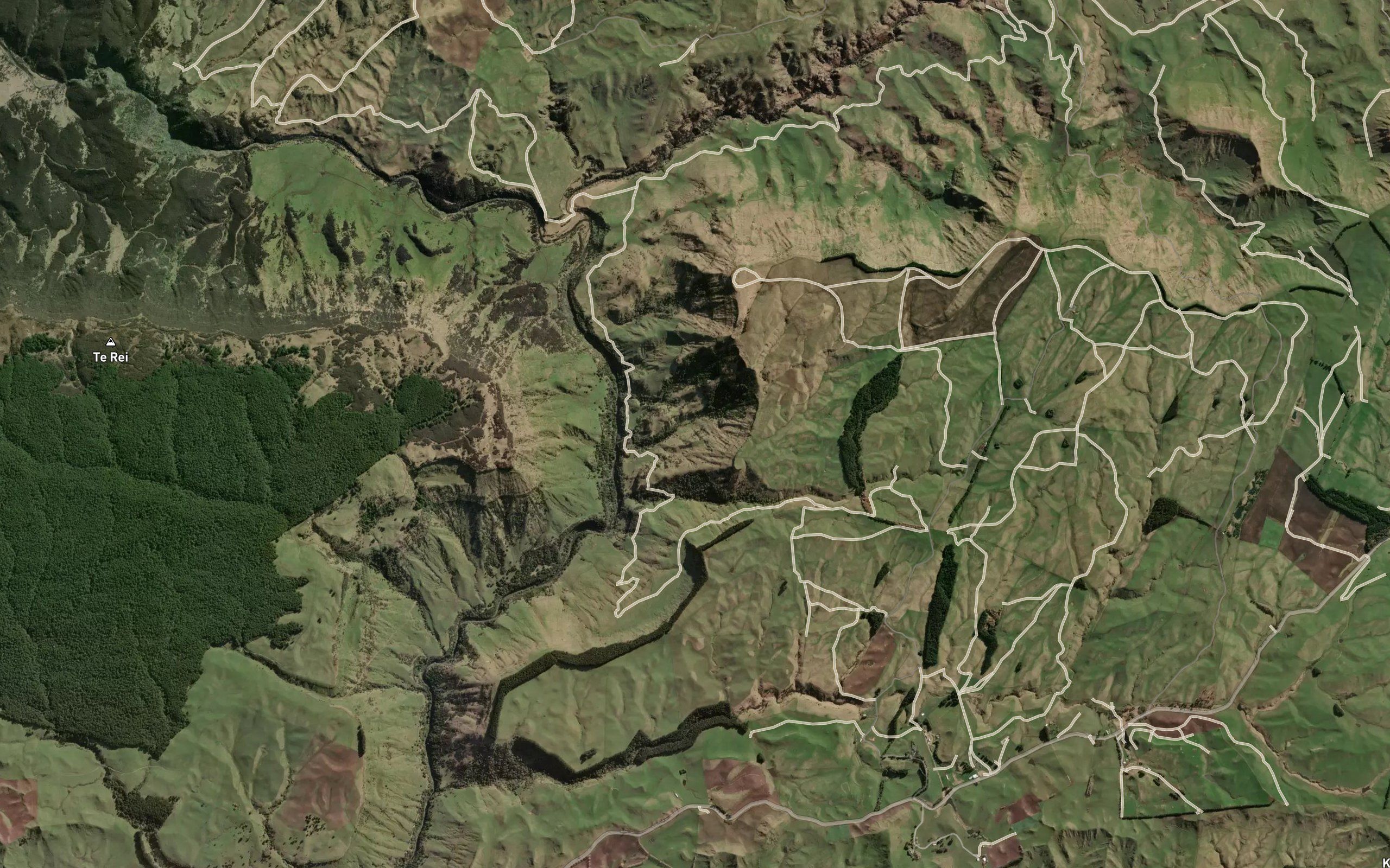 Waiotutahi Stream