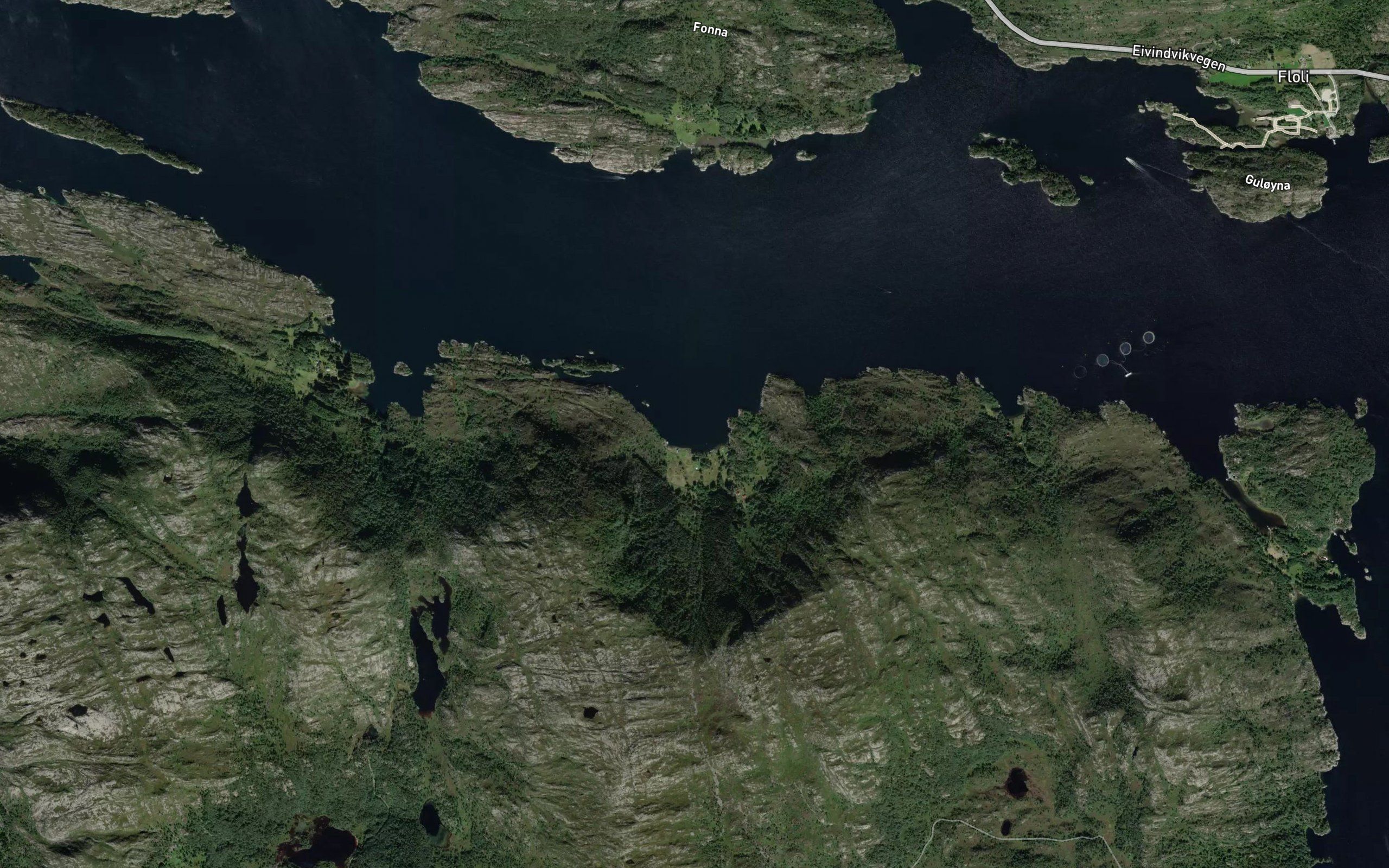 Nevedalsvika