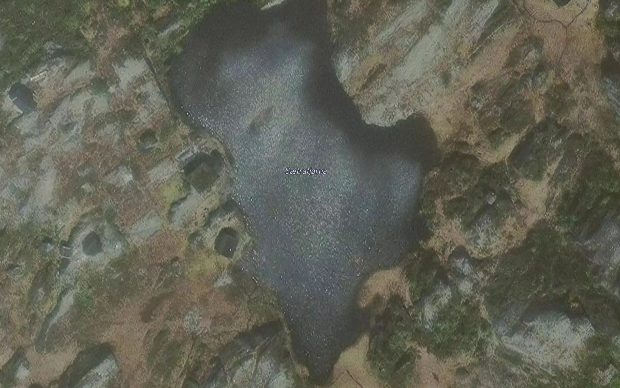 Saetratjorni