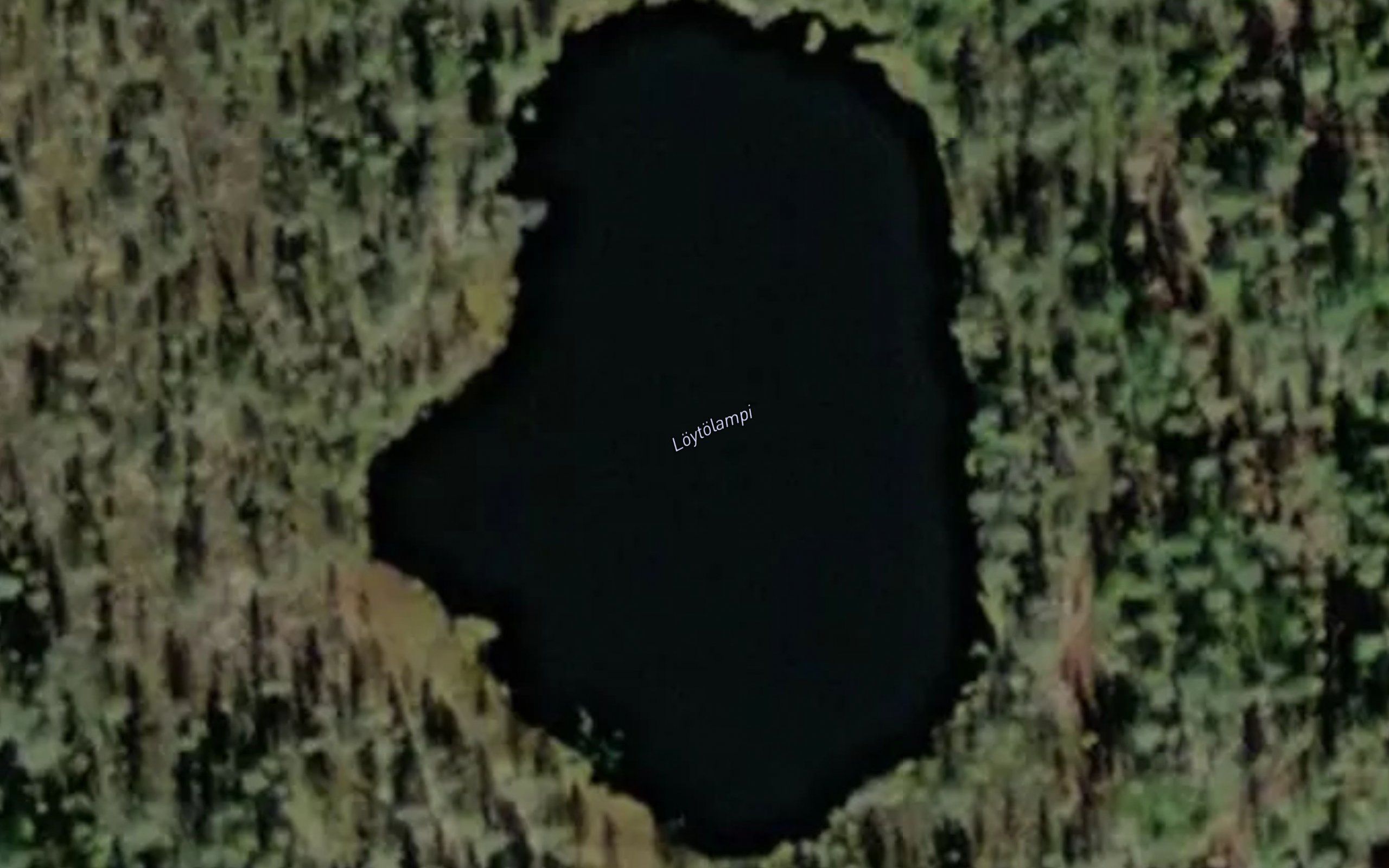 Loytolampi
