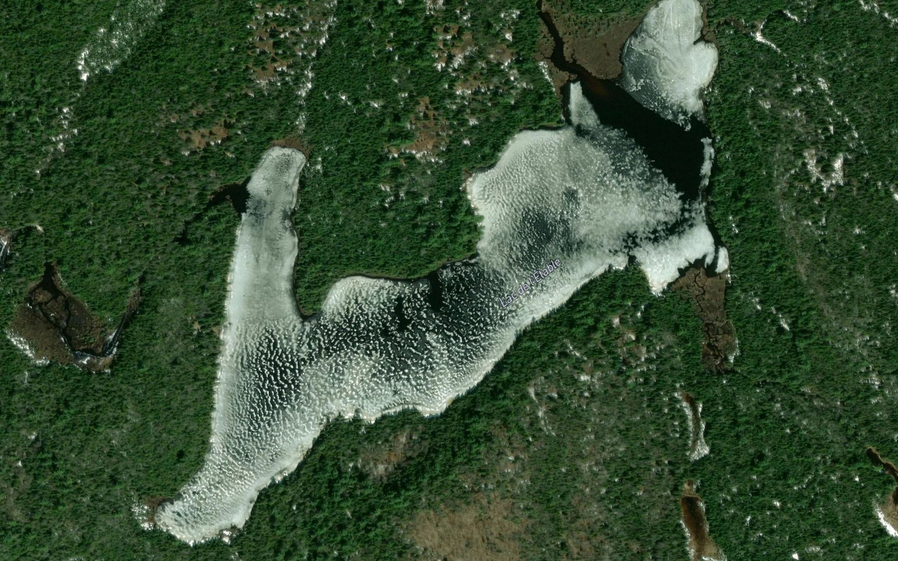 Satellite map of the Lac de l'Etable