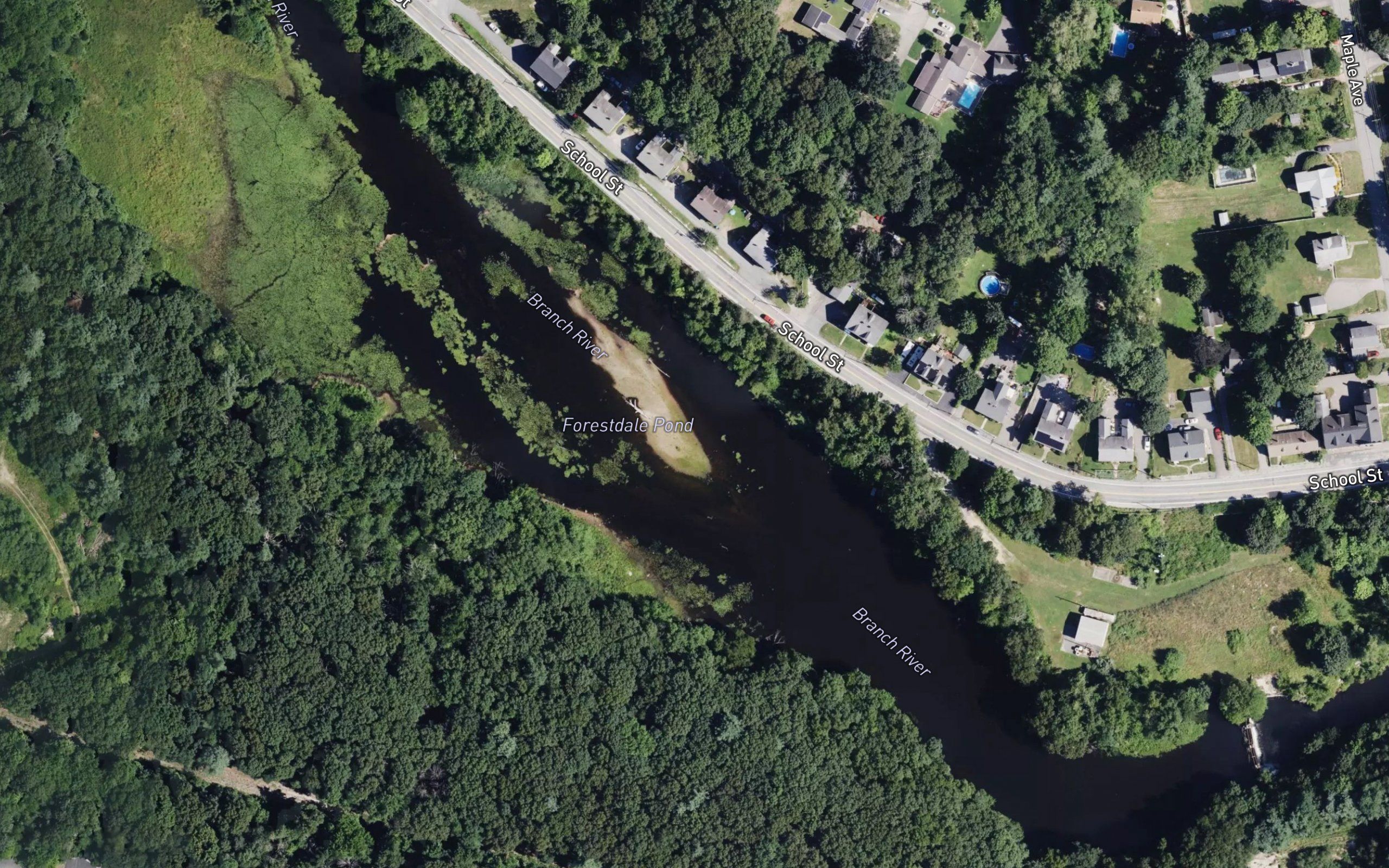 Forestdale Pond