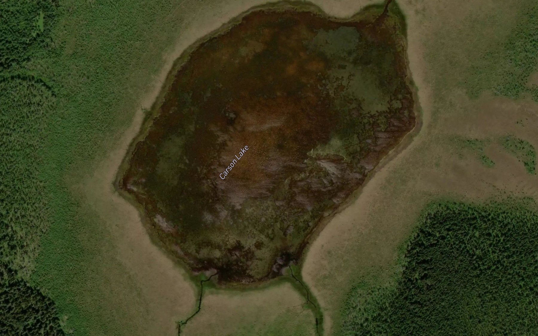 Satellite map of the Carson Lake