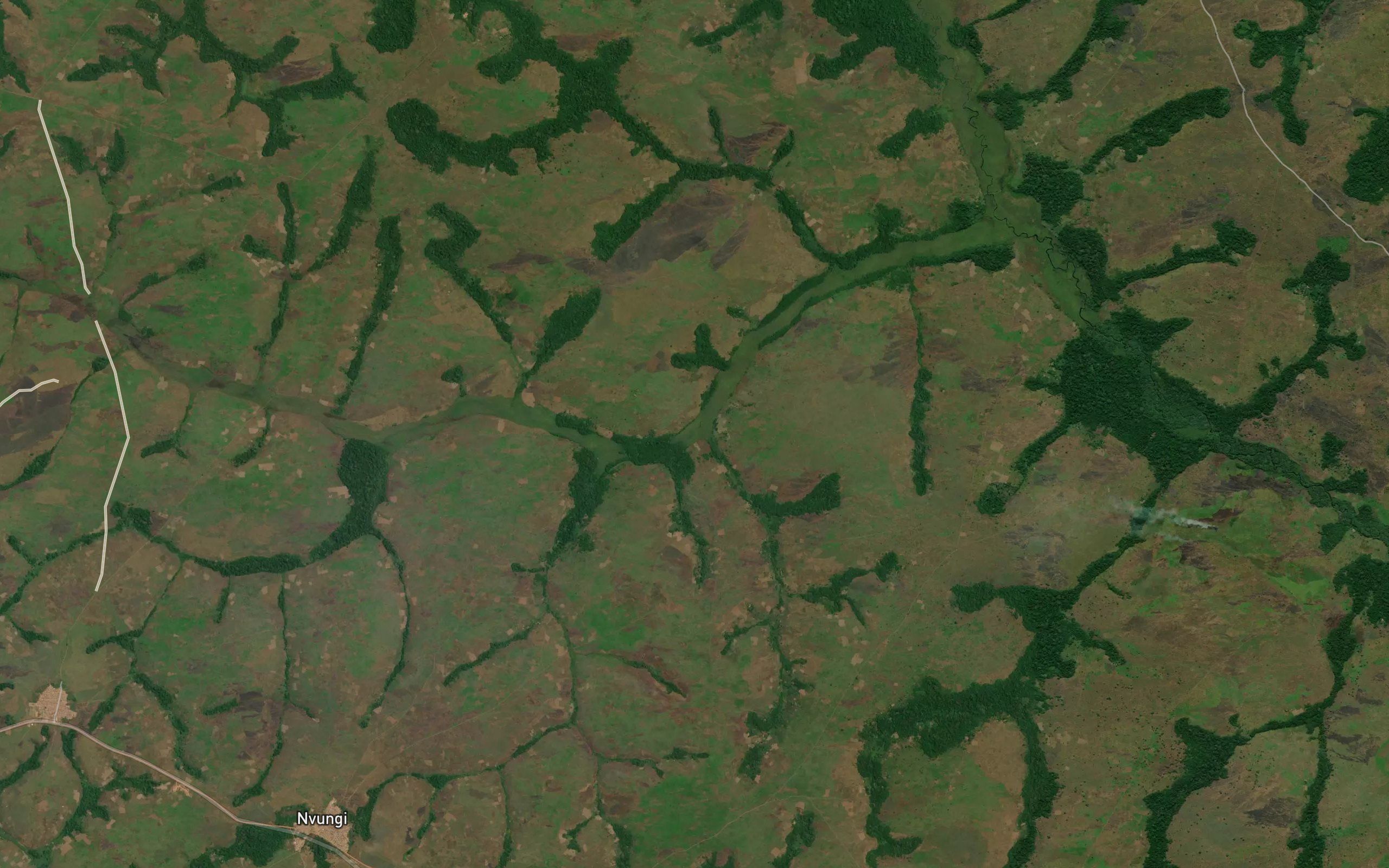 Cofunga