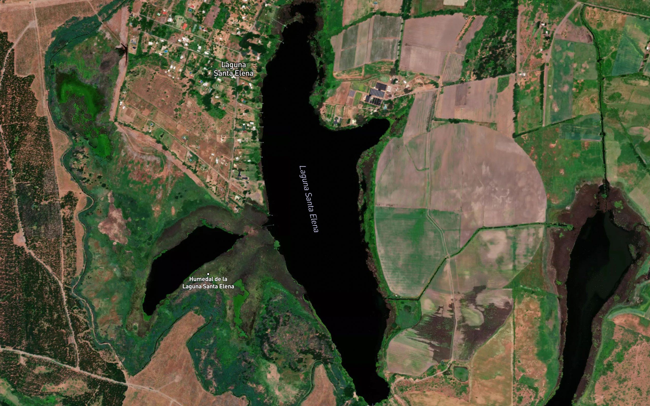 Laguna de Buena Vista
