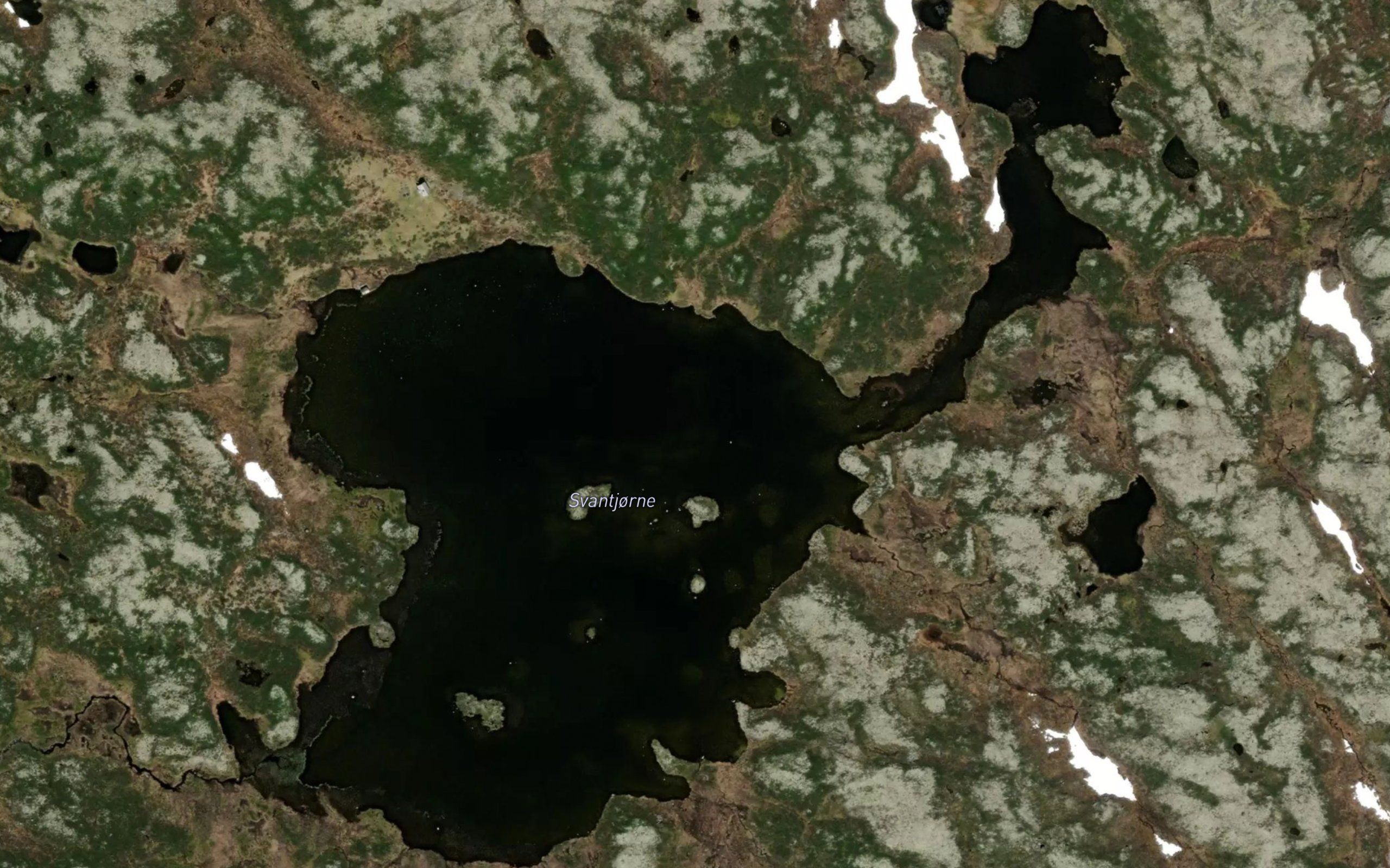 Svantjorne