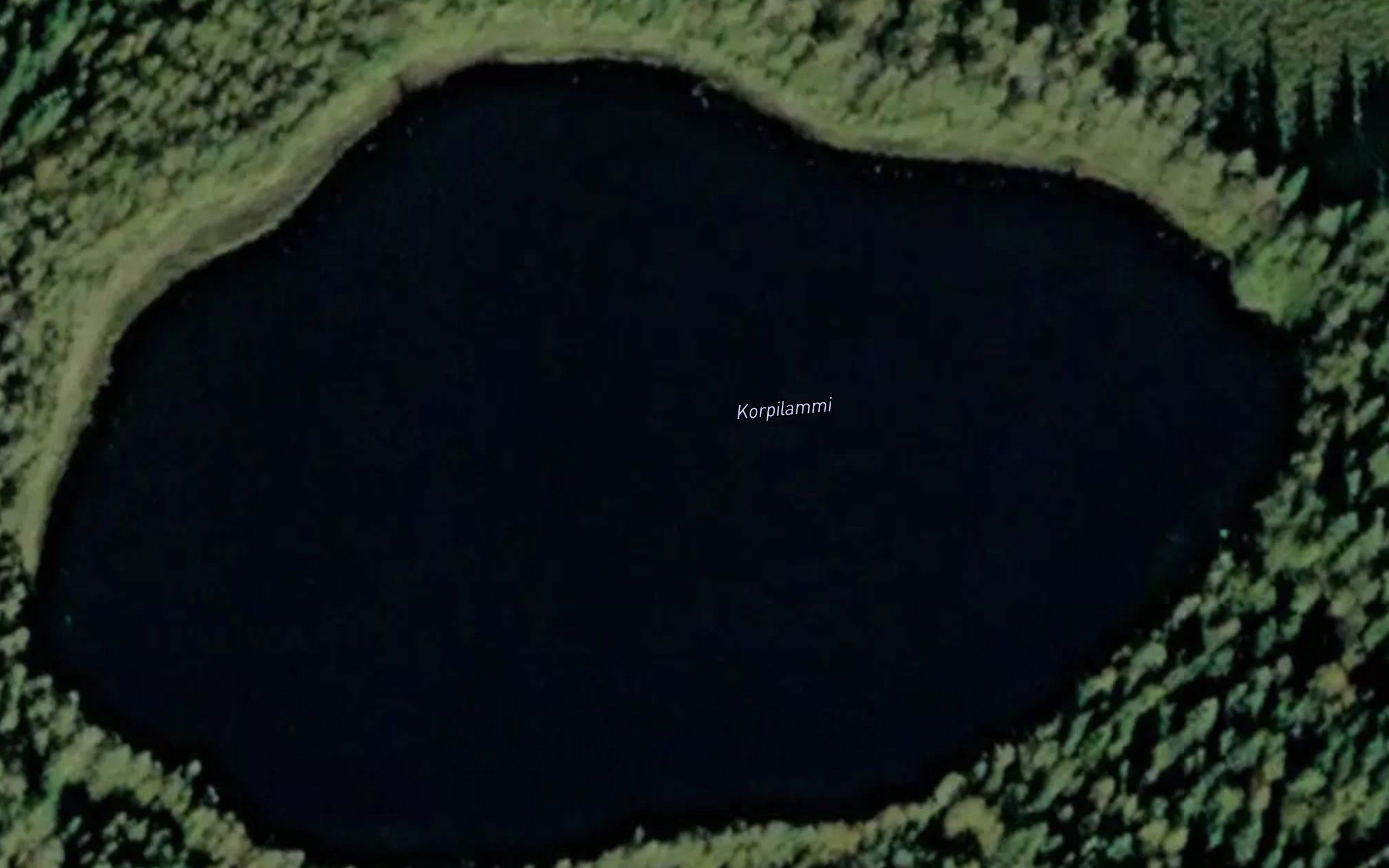 Korpilammi