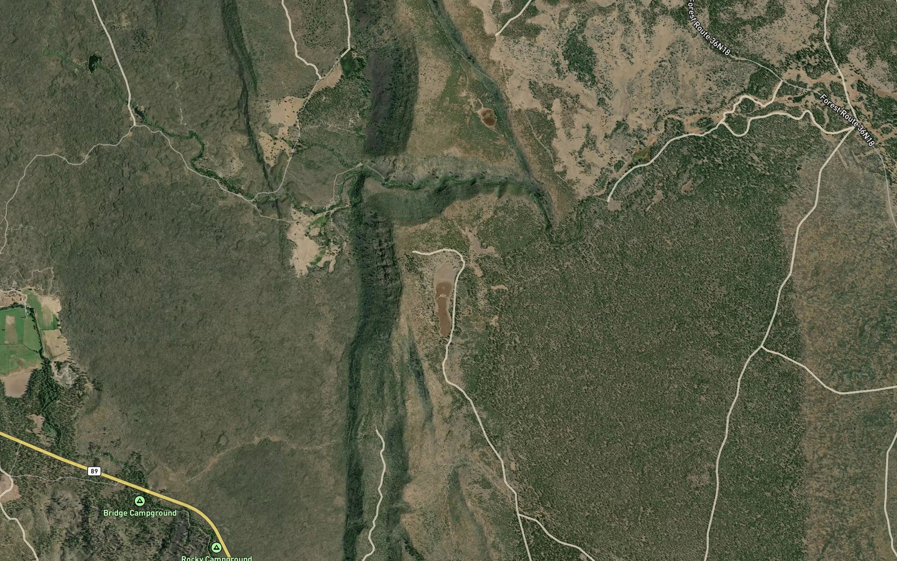 Satellite map of the Grassy Lake