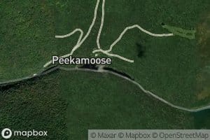 Peekamoose Lake