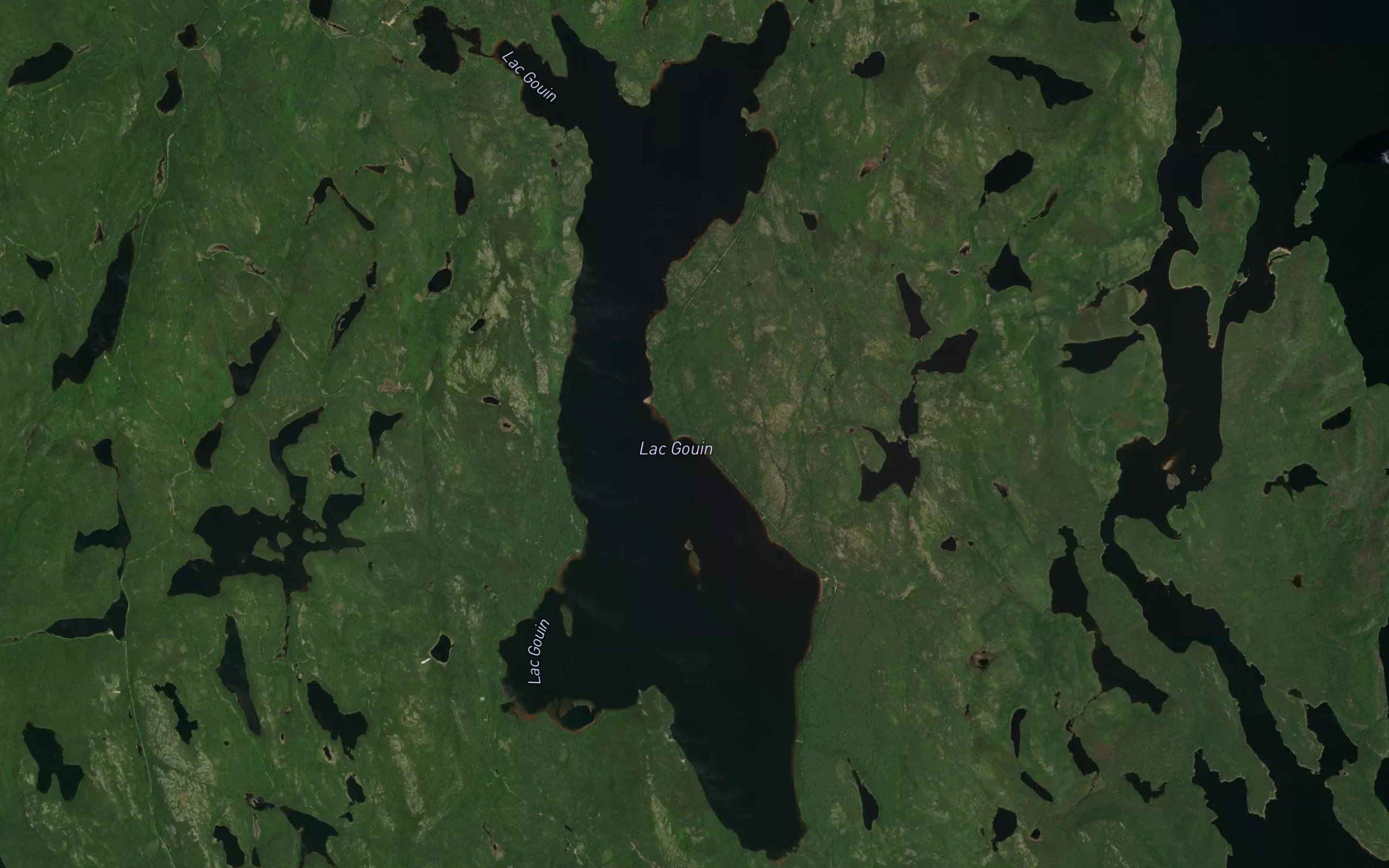 Lac Gouin