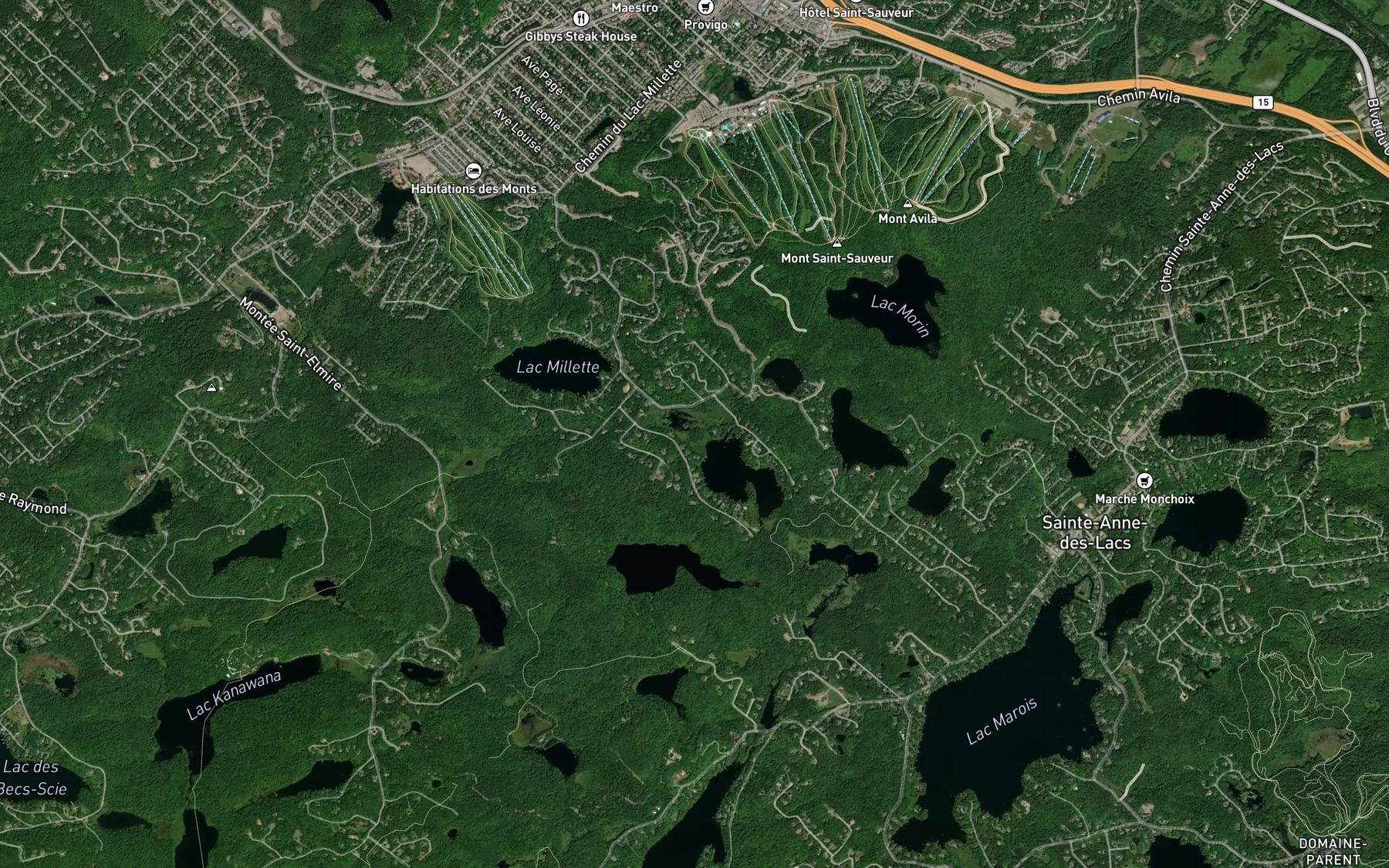 Satellite map of the Lac Vaseux