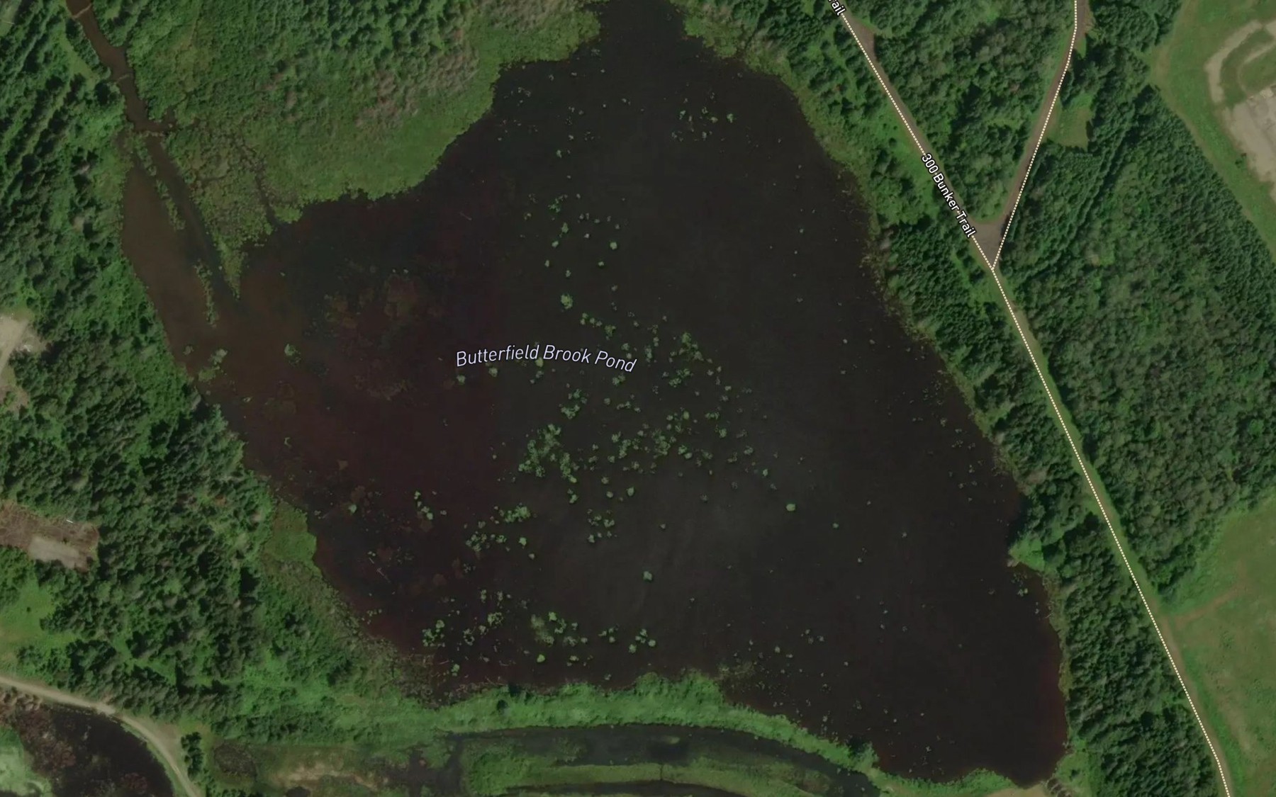 Satellite map of the Butterfield Brook Pond