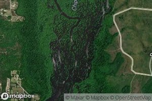 Dead Lakes