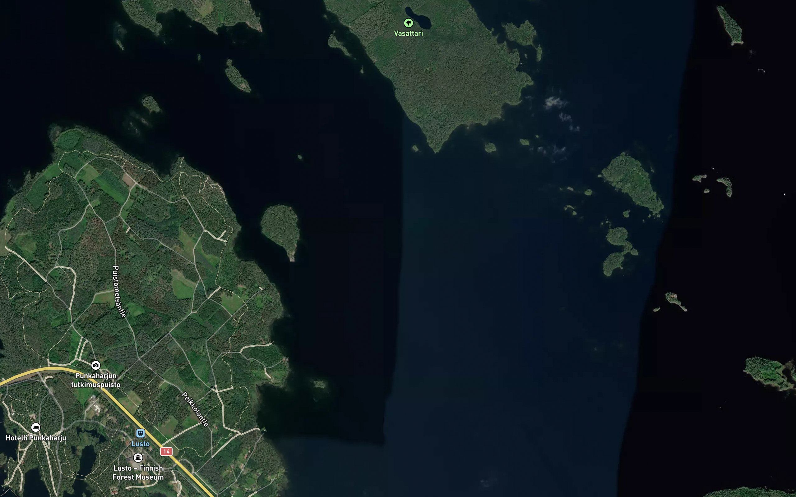 Enanhauta