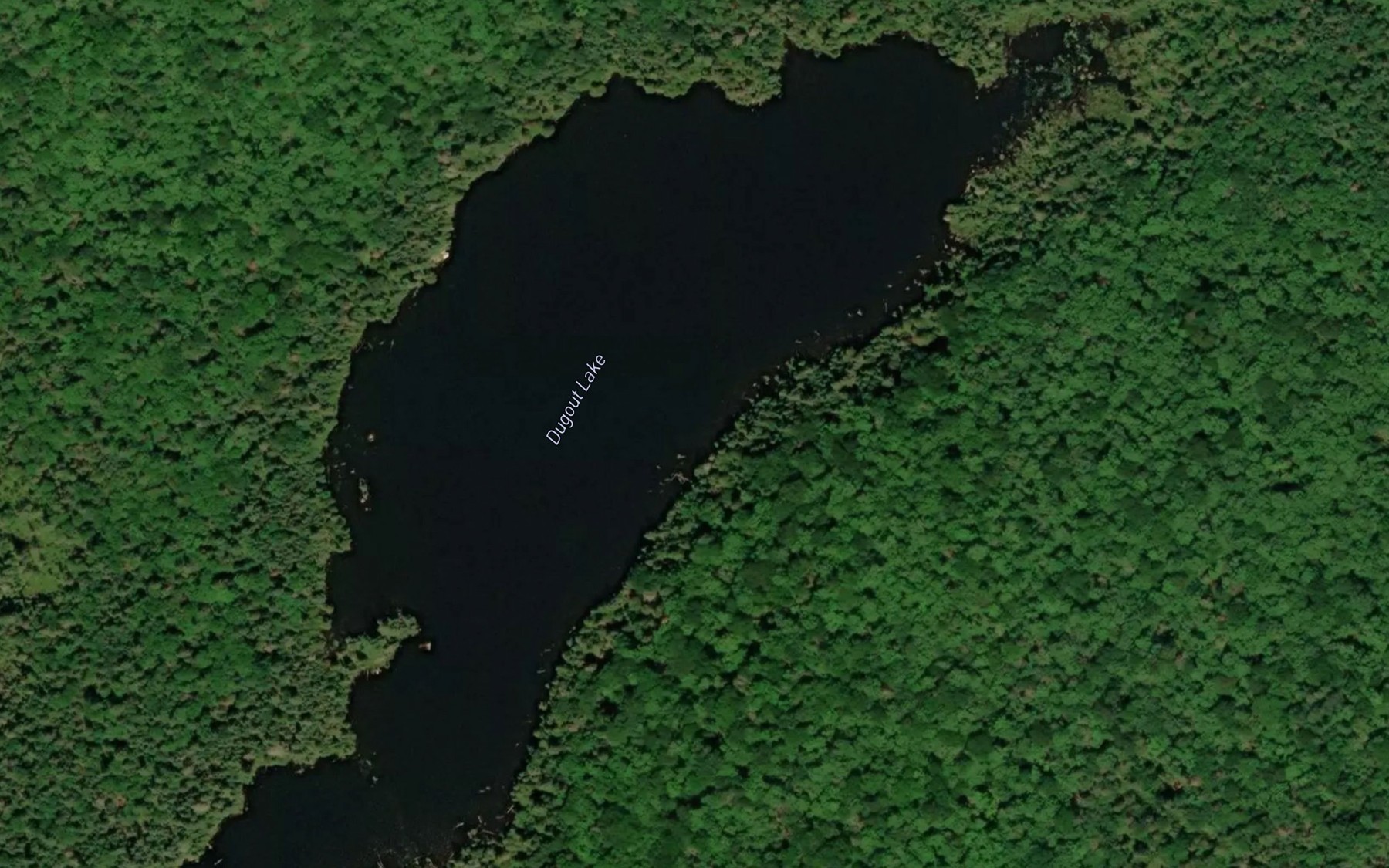 Satellite map of the Dugout Lake