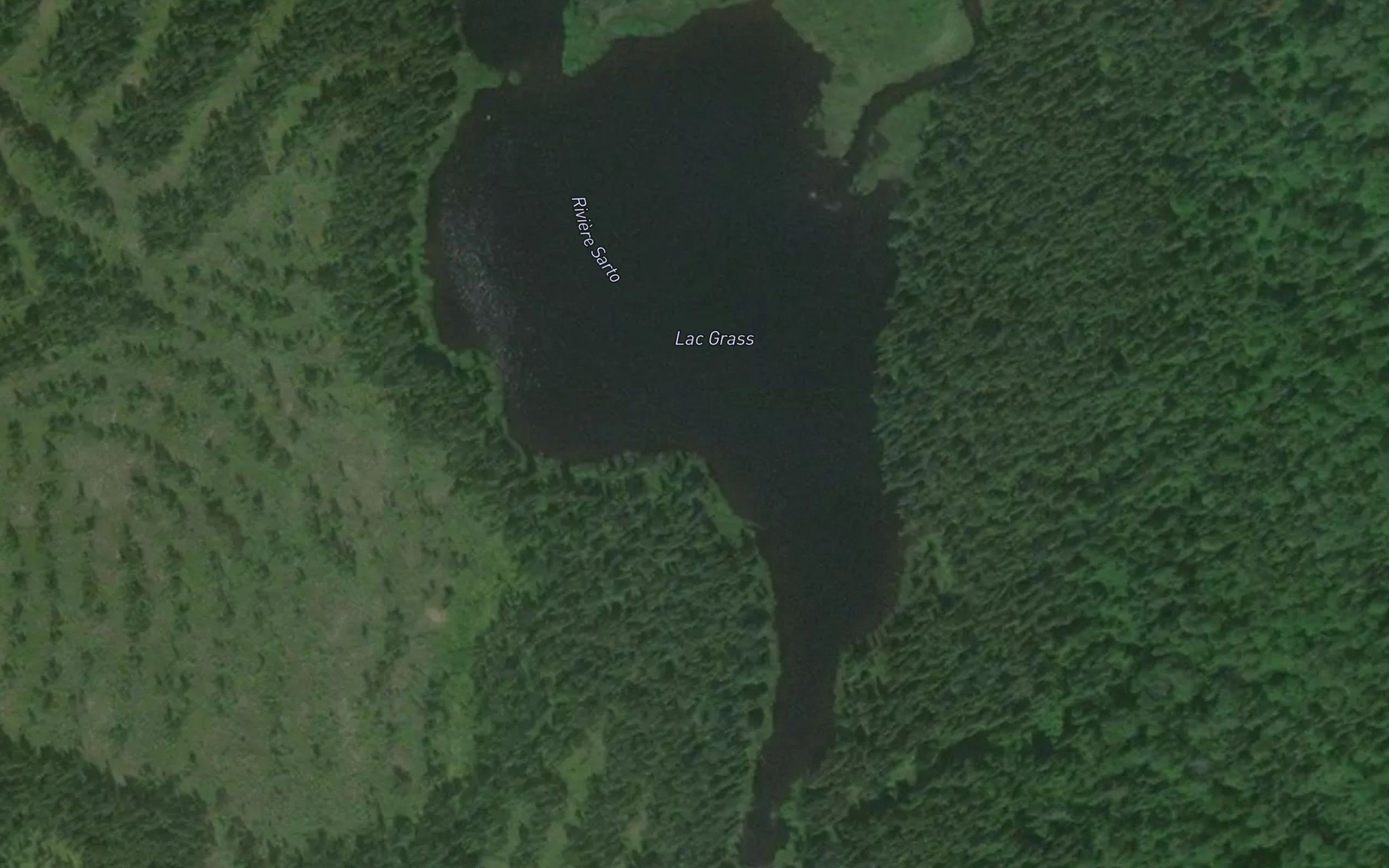Lac Grass