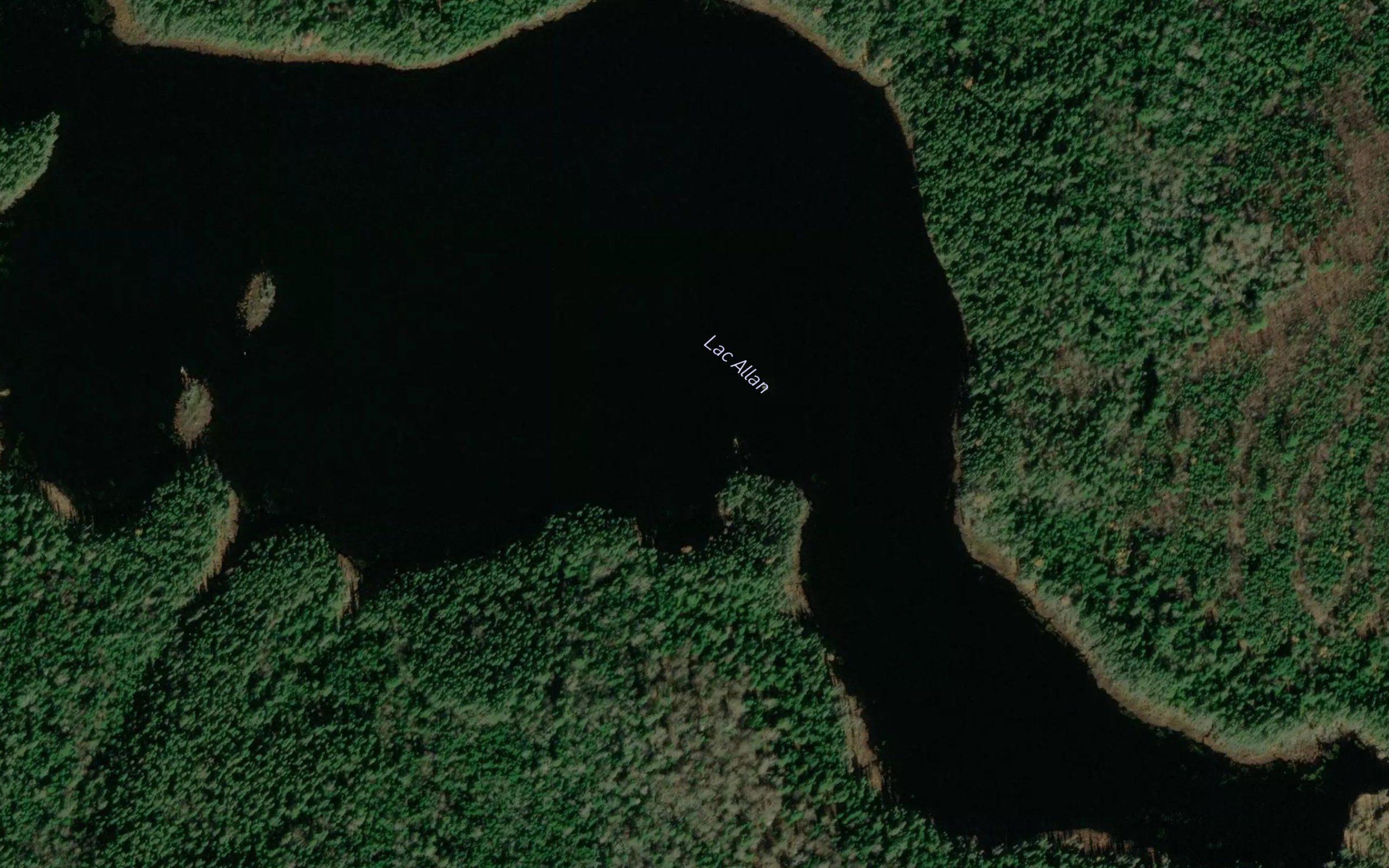 Lac Allan