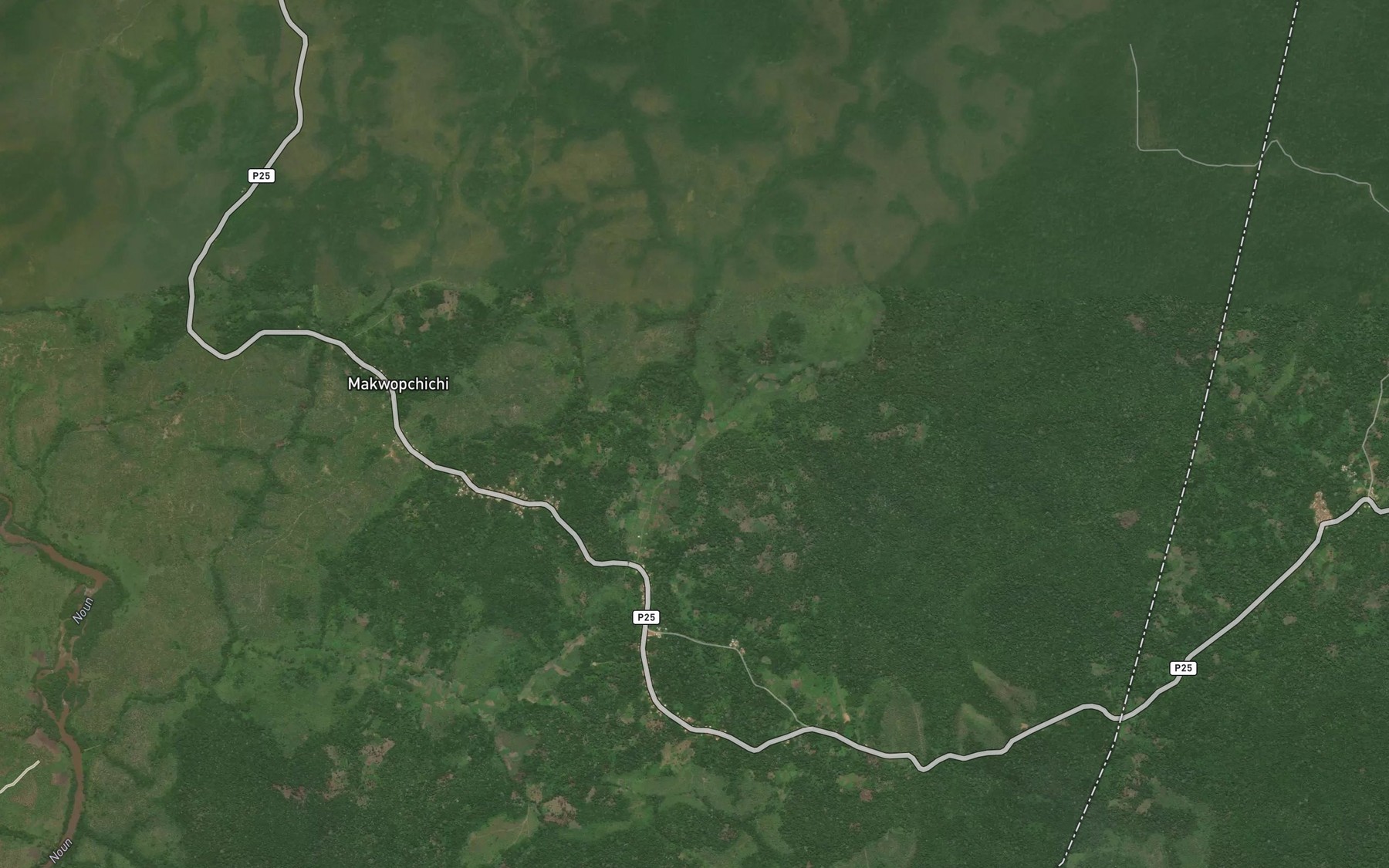 Satellite map of the Ngou