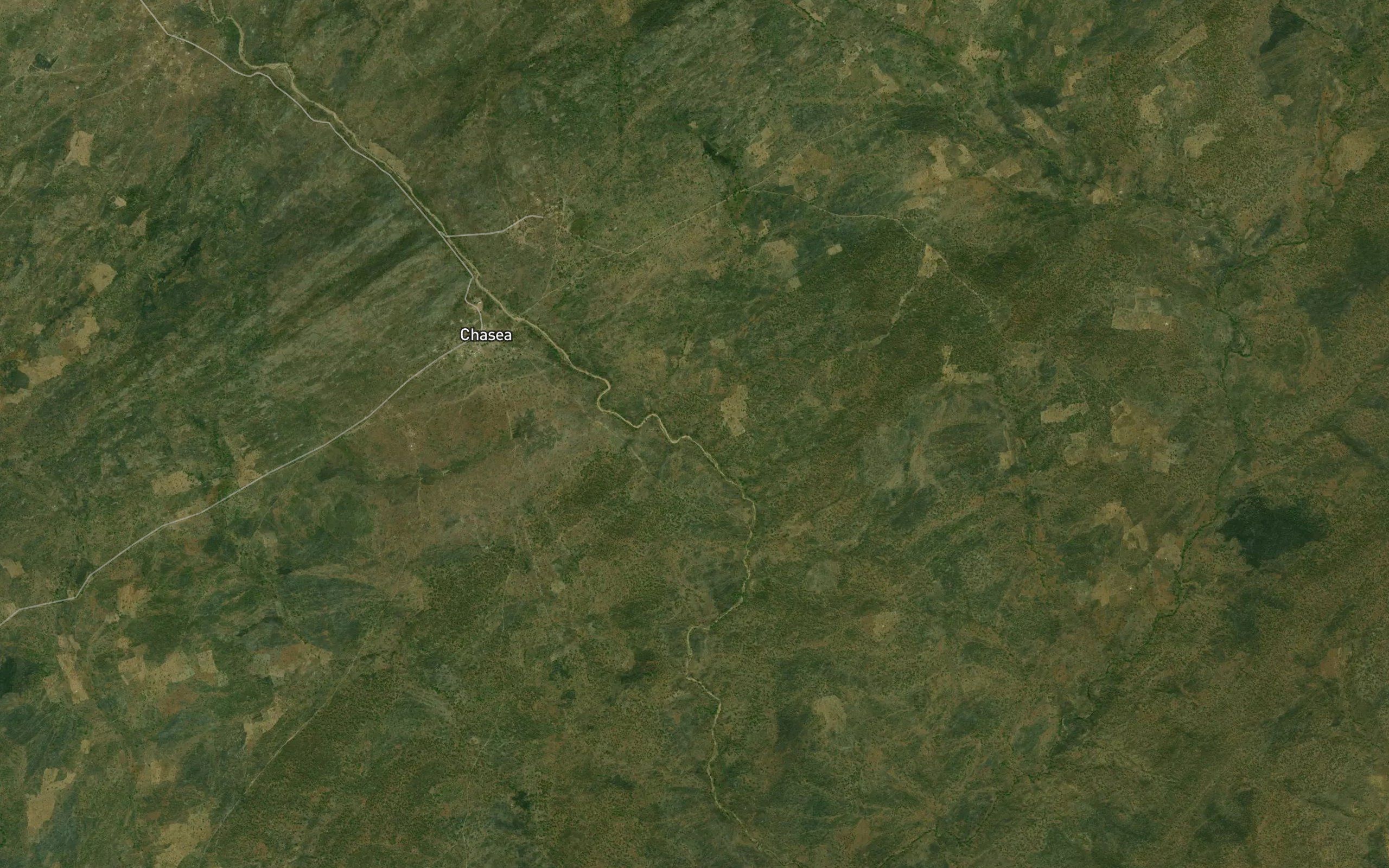 Vagabogukombor