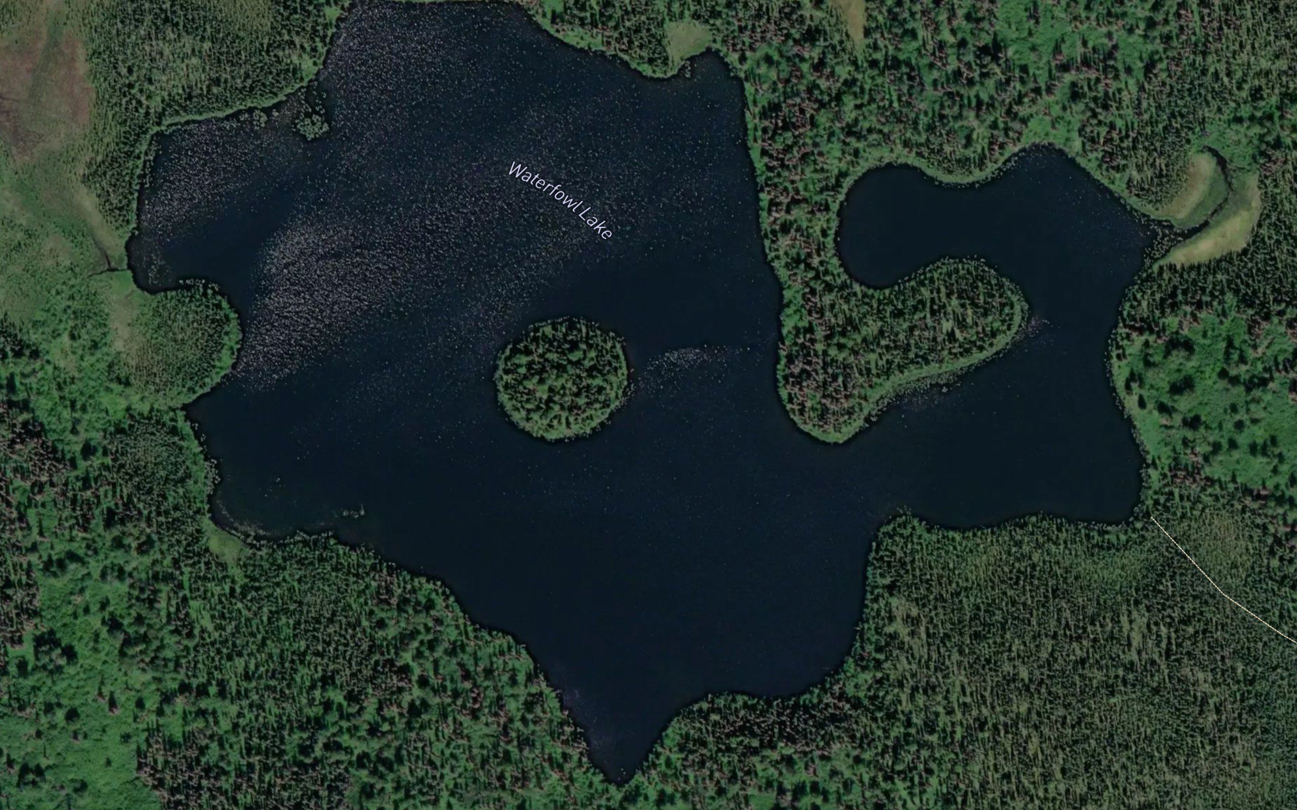 Waterfowl Lake