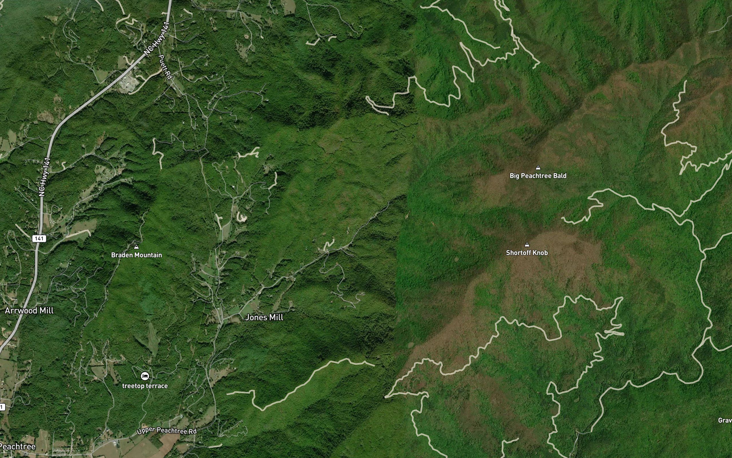 Coldspring Branch
