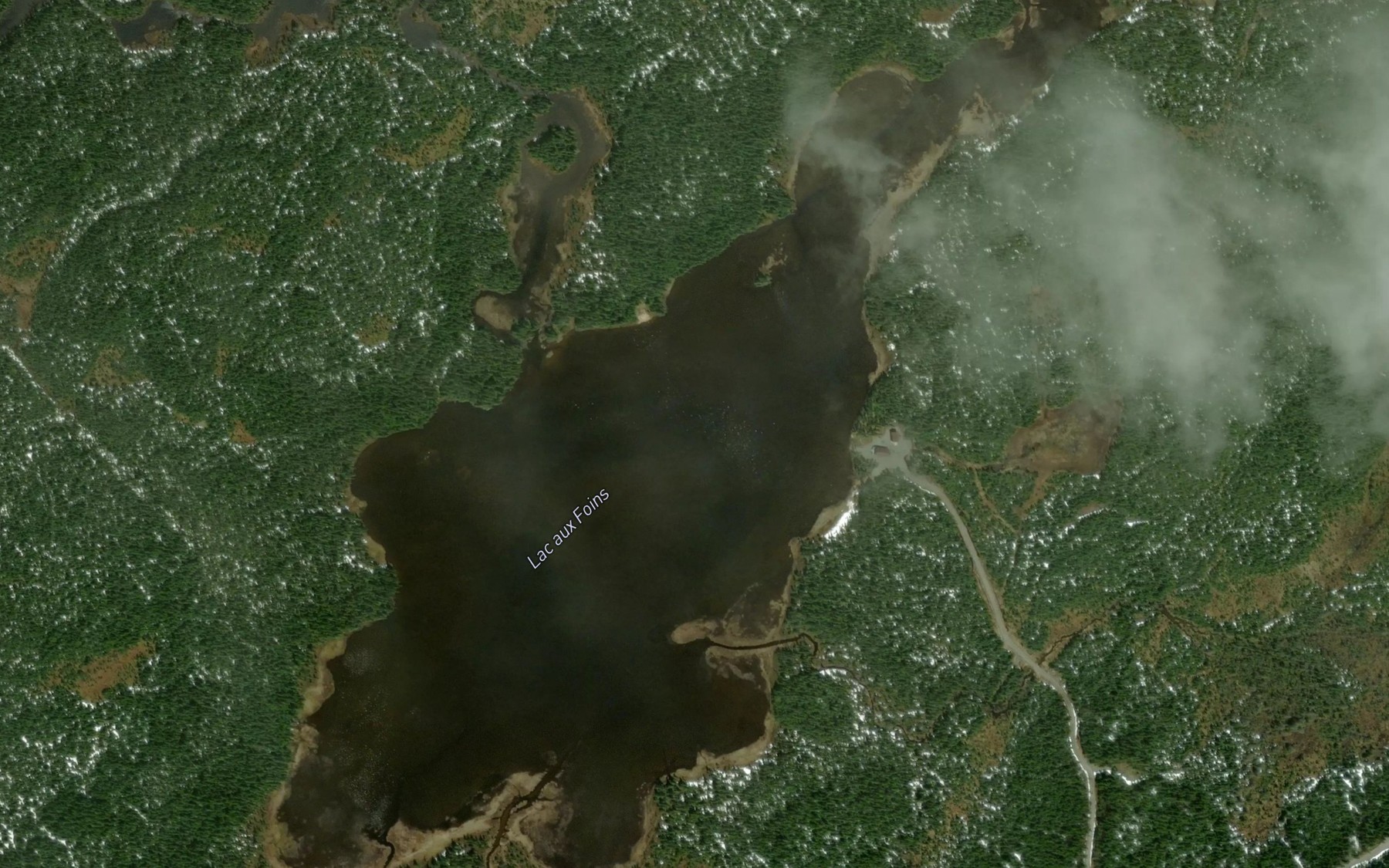 Satellite map of the Lac aux Foins