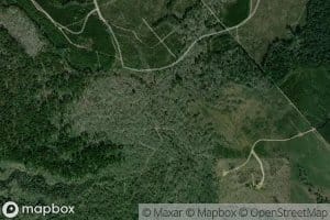 Lick Branch Hurricane Creek