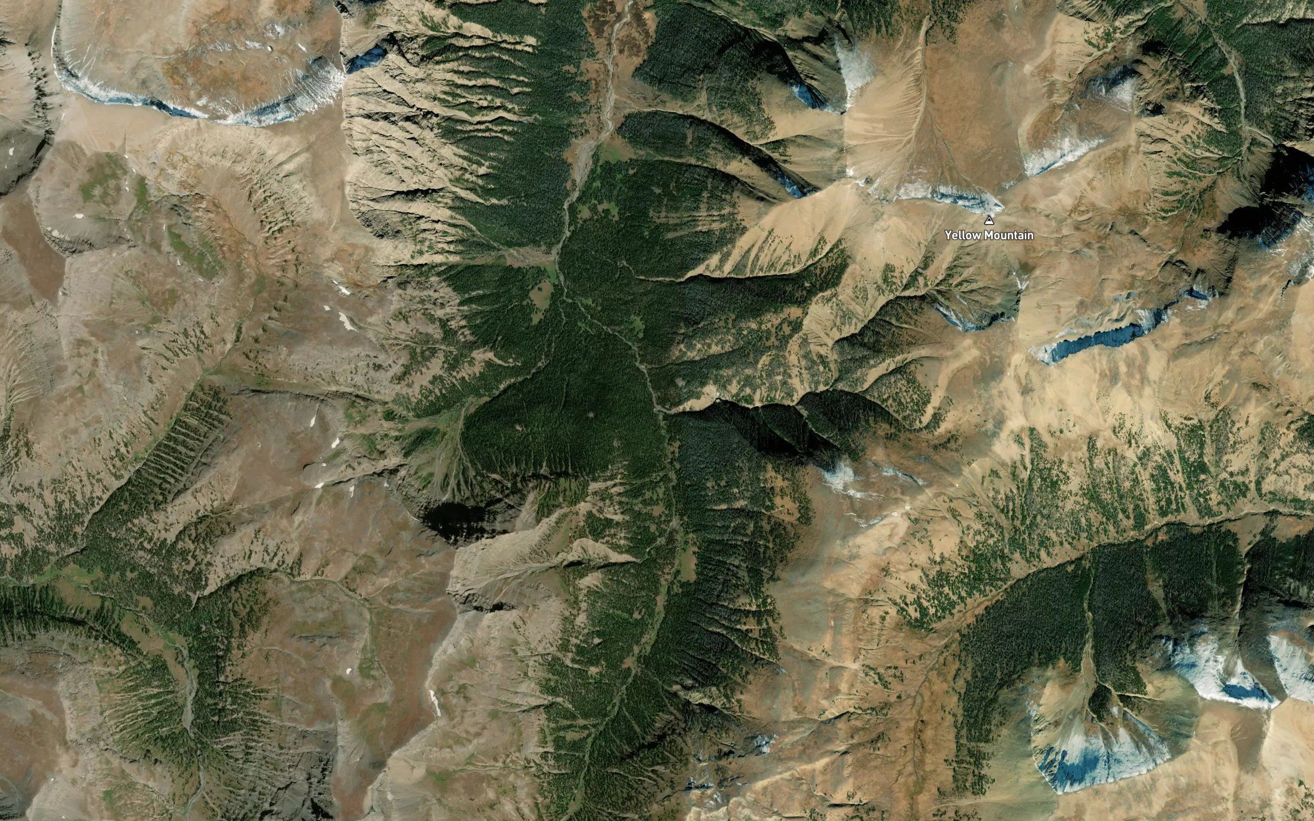 Esmond Forks