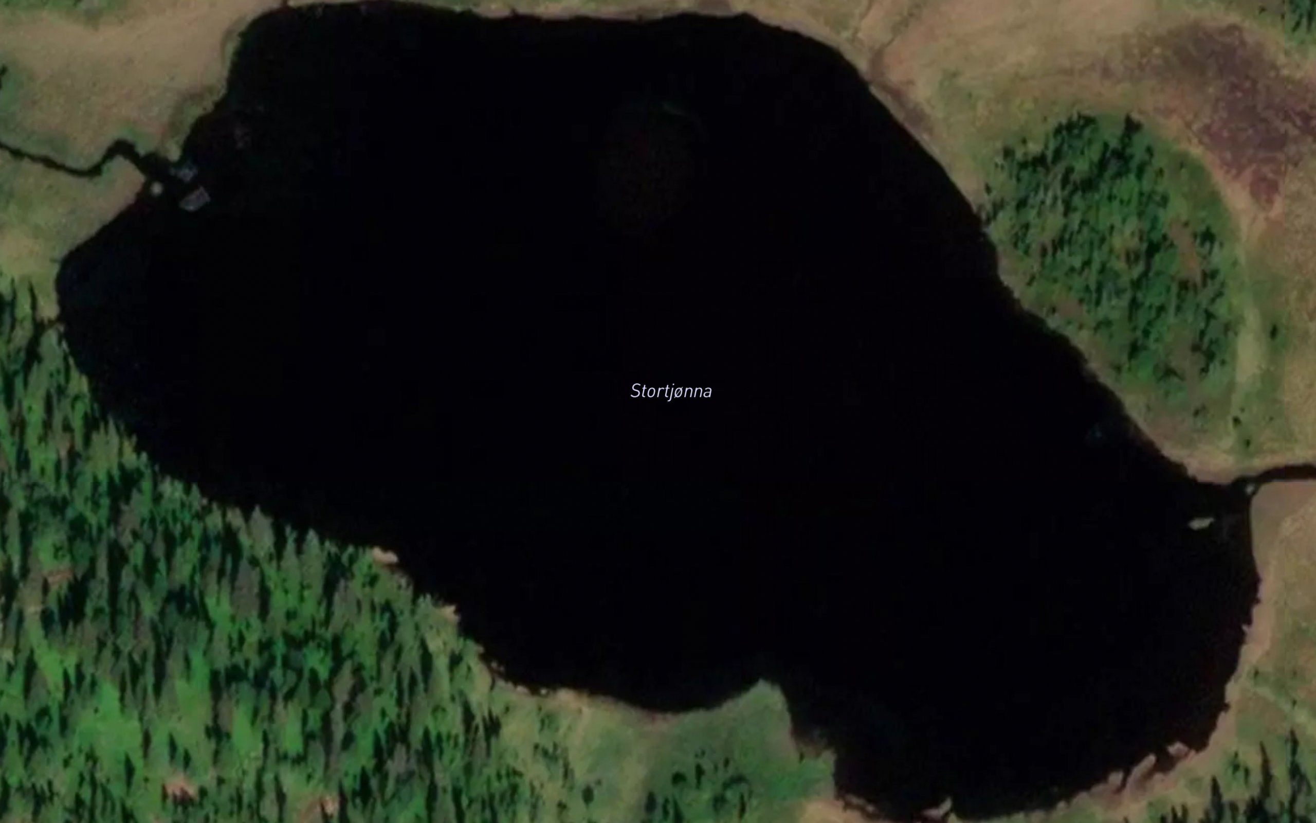 Stortjorna