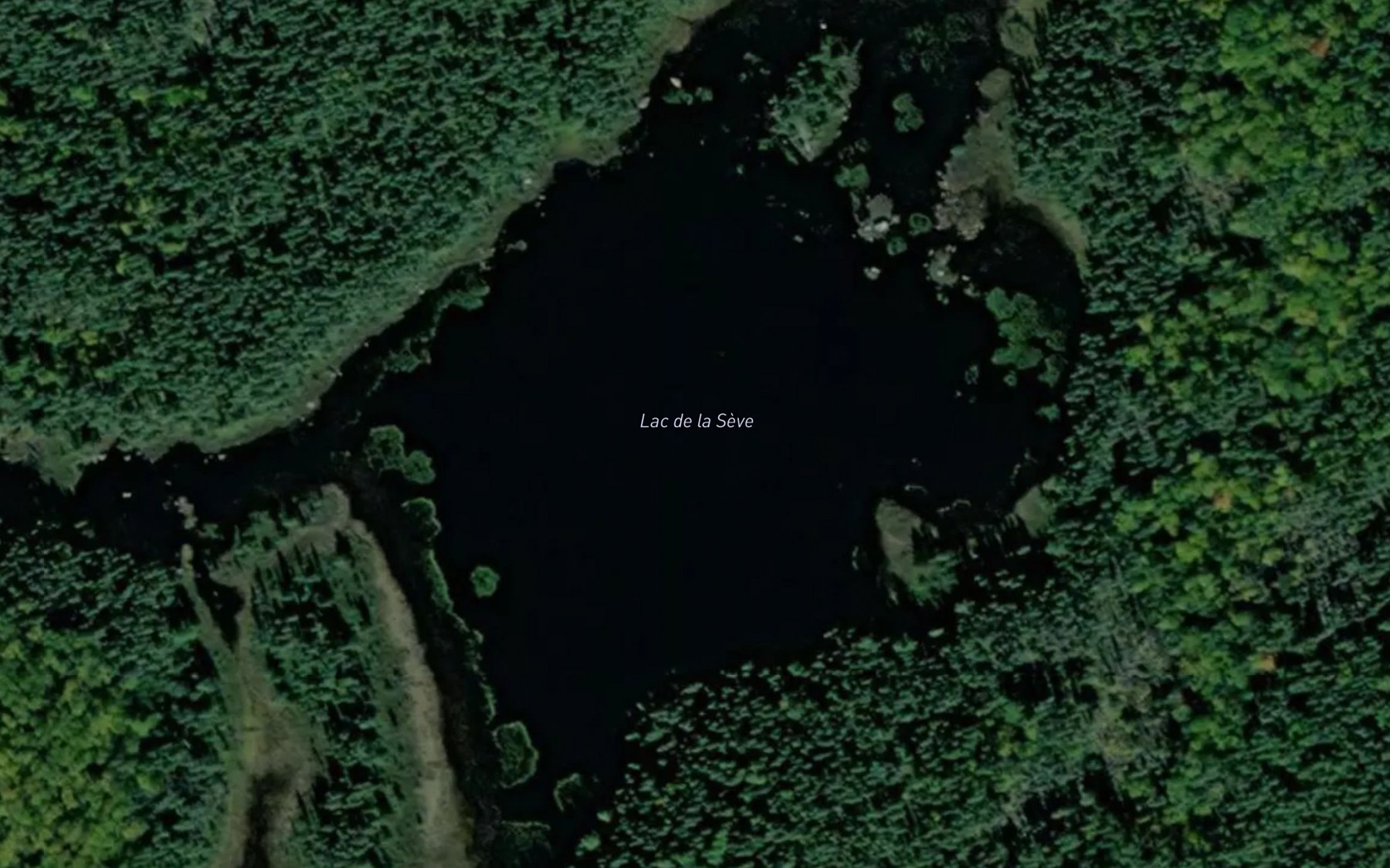 Satellite map of the Lac de la Seve