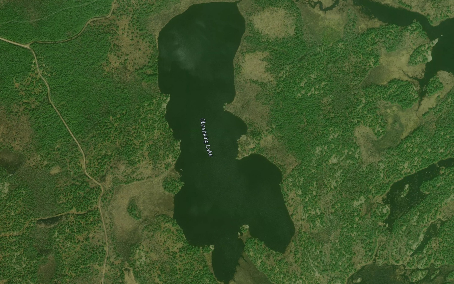 Satellite map of the Obashking Lake