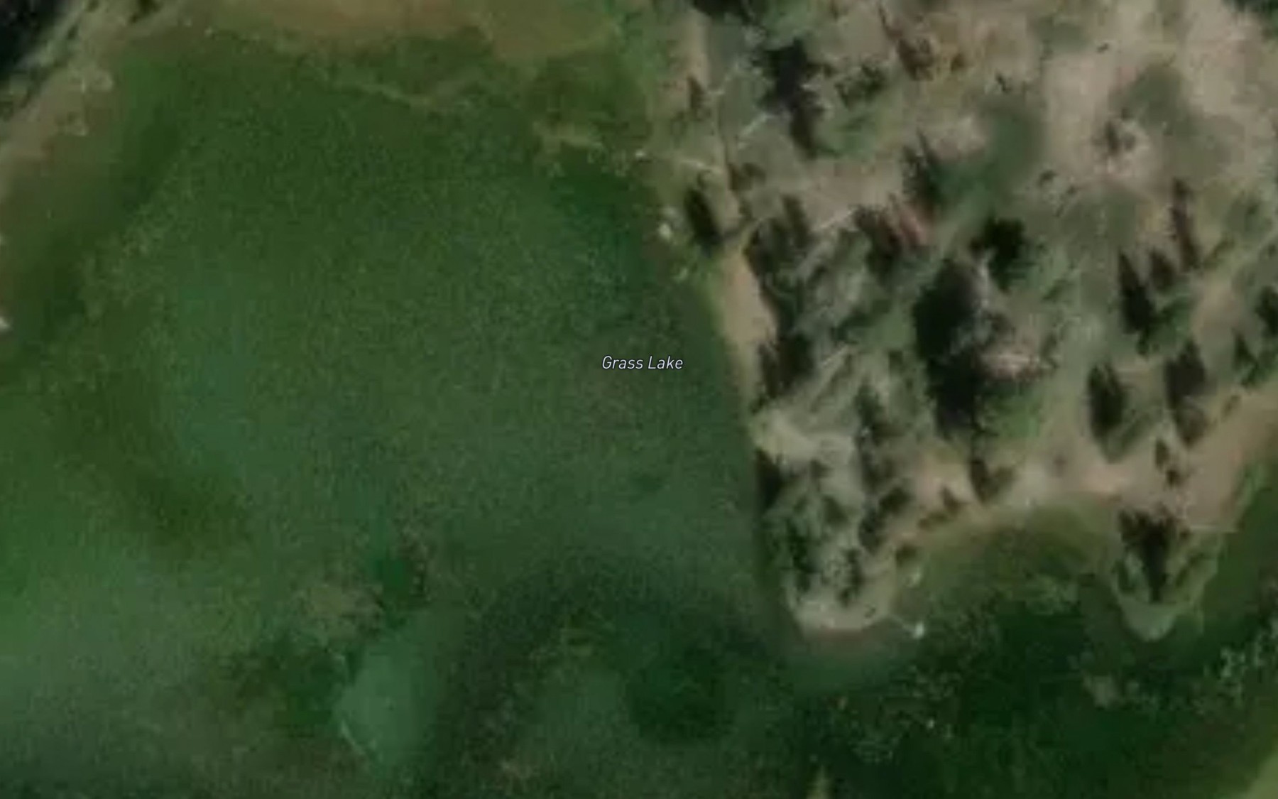 Satellite map of the Grass Lake