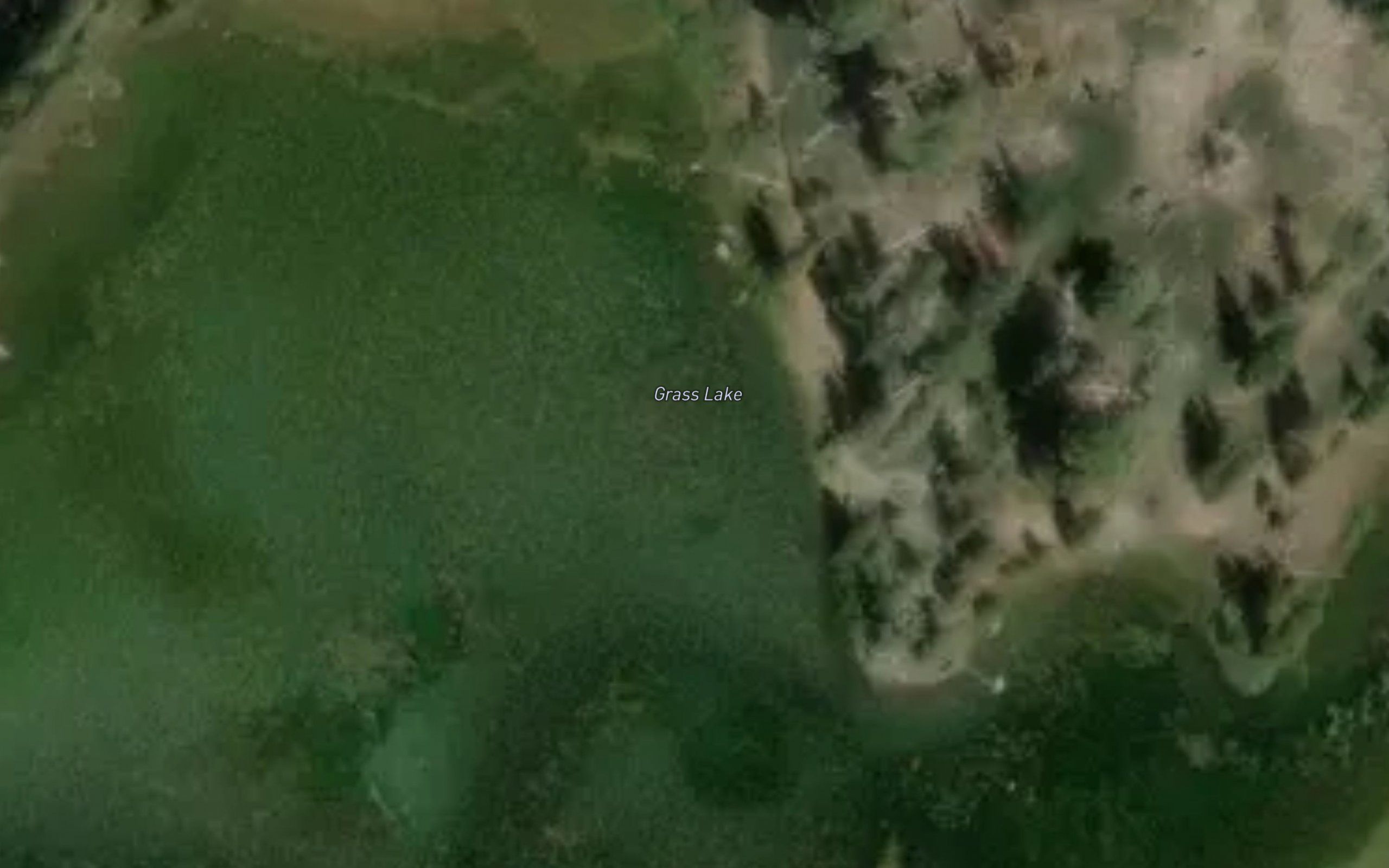 Grass Lake