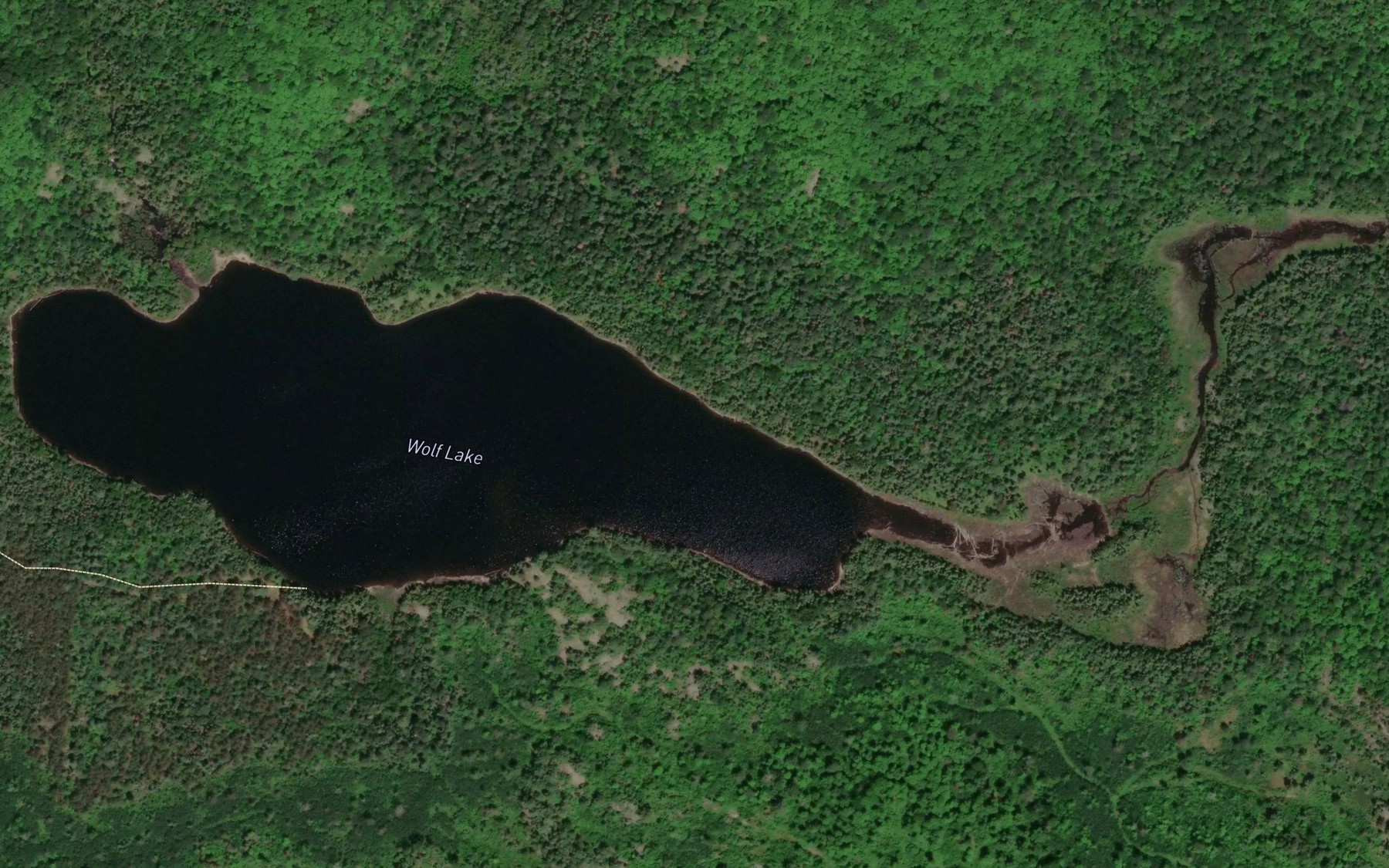 Satellite map of the Wolf Lake