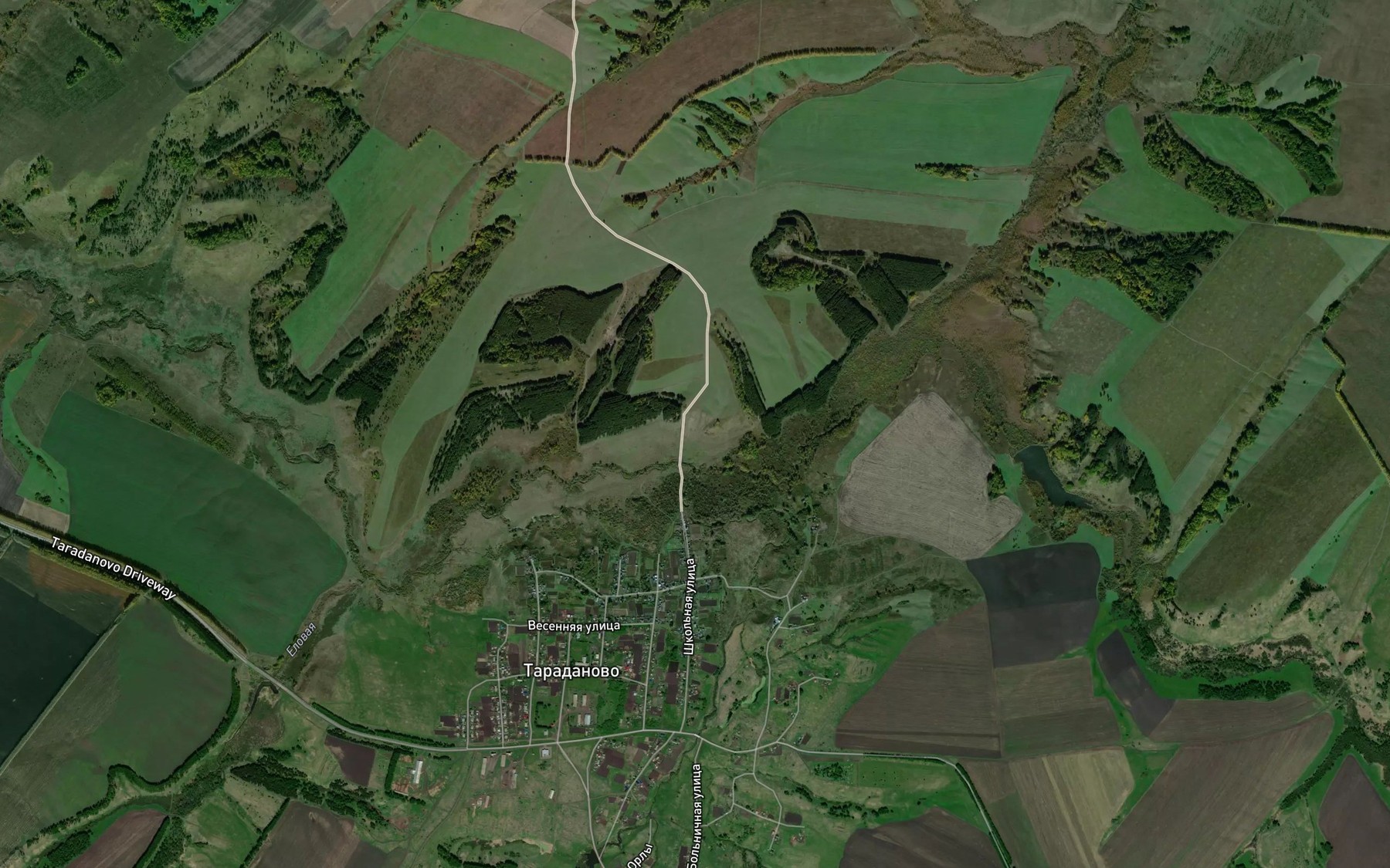 Satellite map of the Kamenka