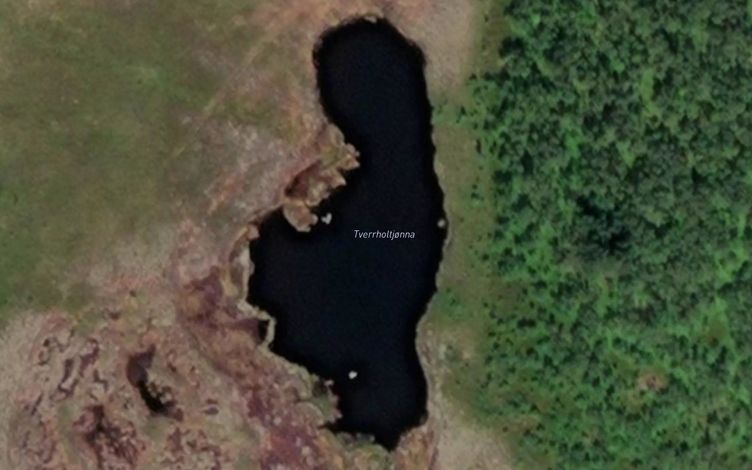 Tverrholtjonna