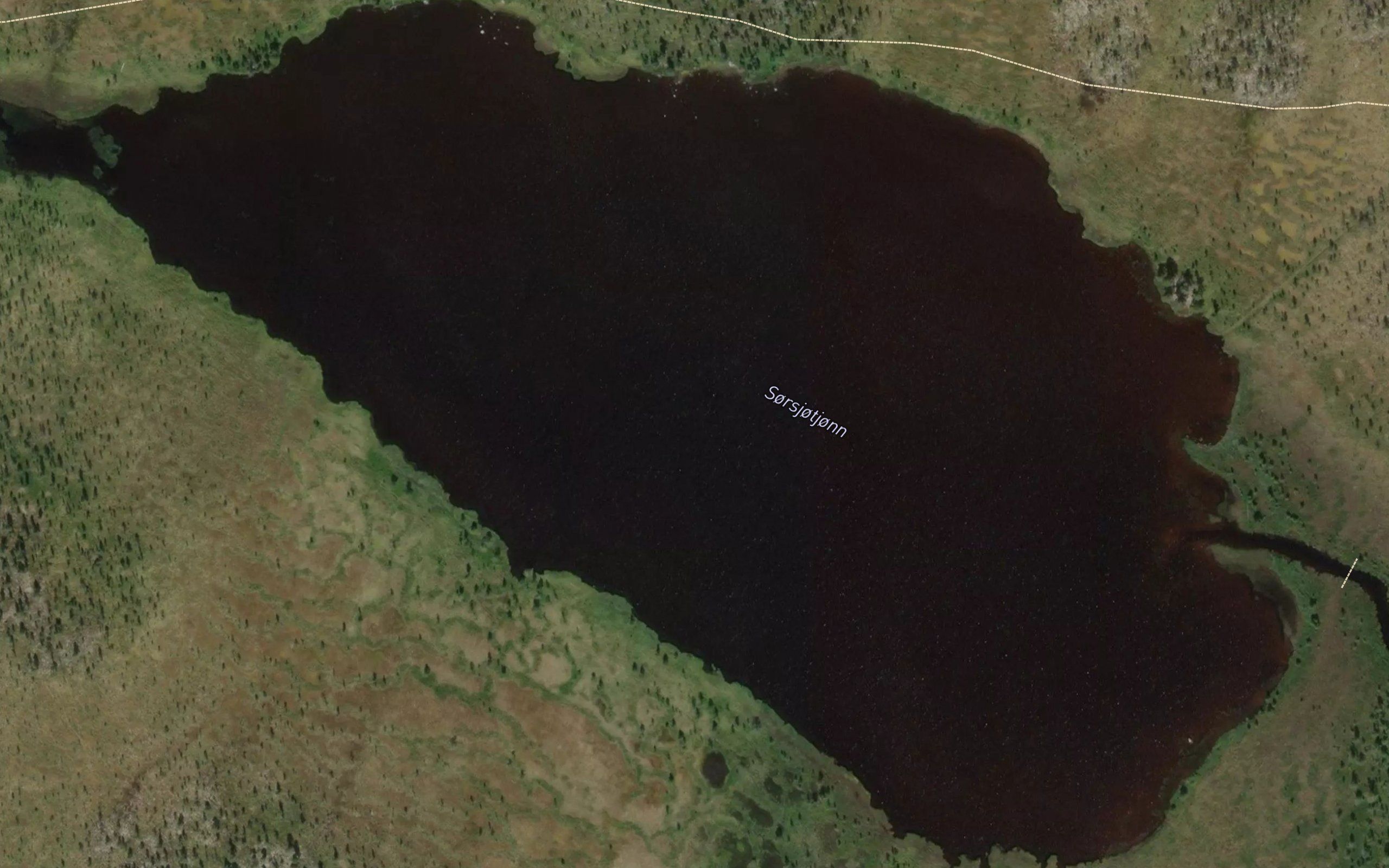 Sorsjotjorn