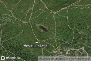 Lunken,vesle