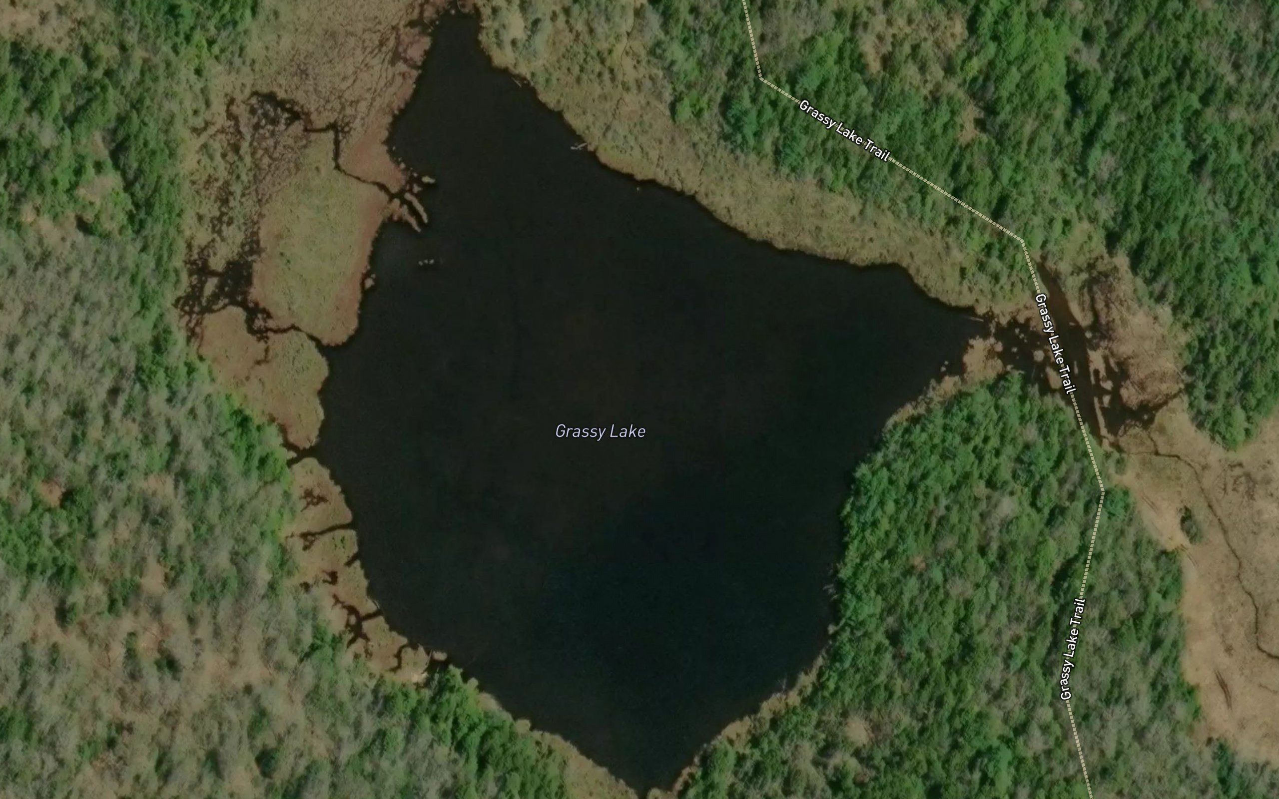 Grassy Lake