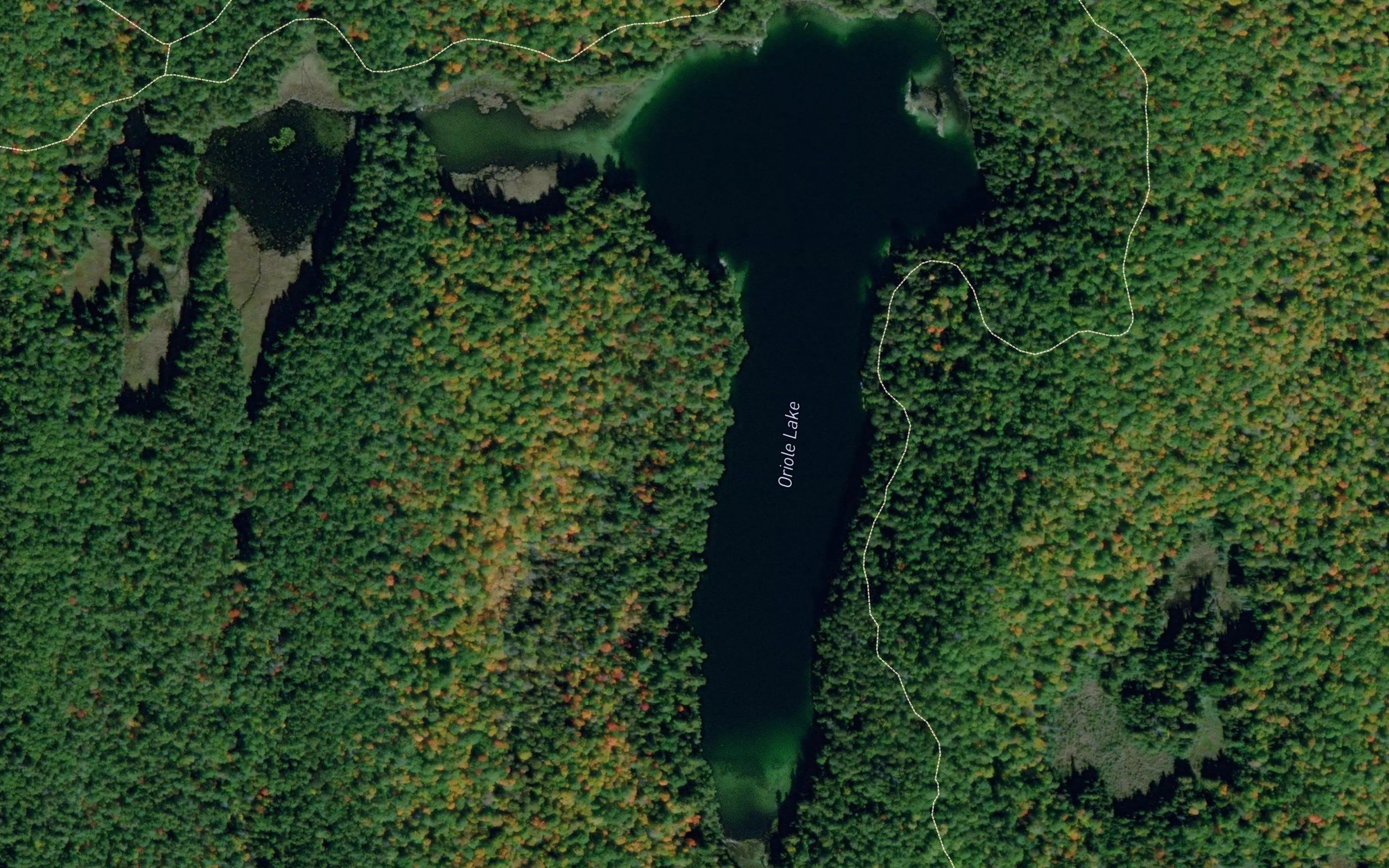 Oriole Lake