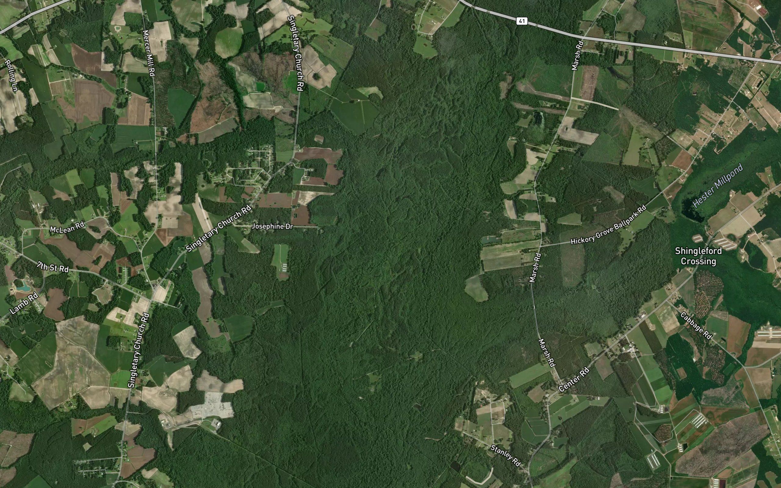 Jackson Swamp